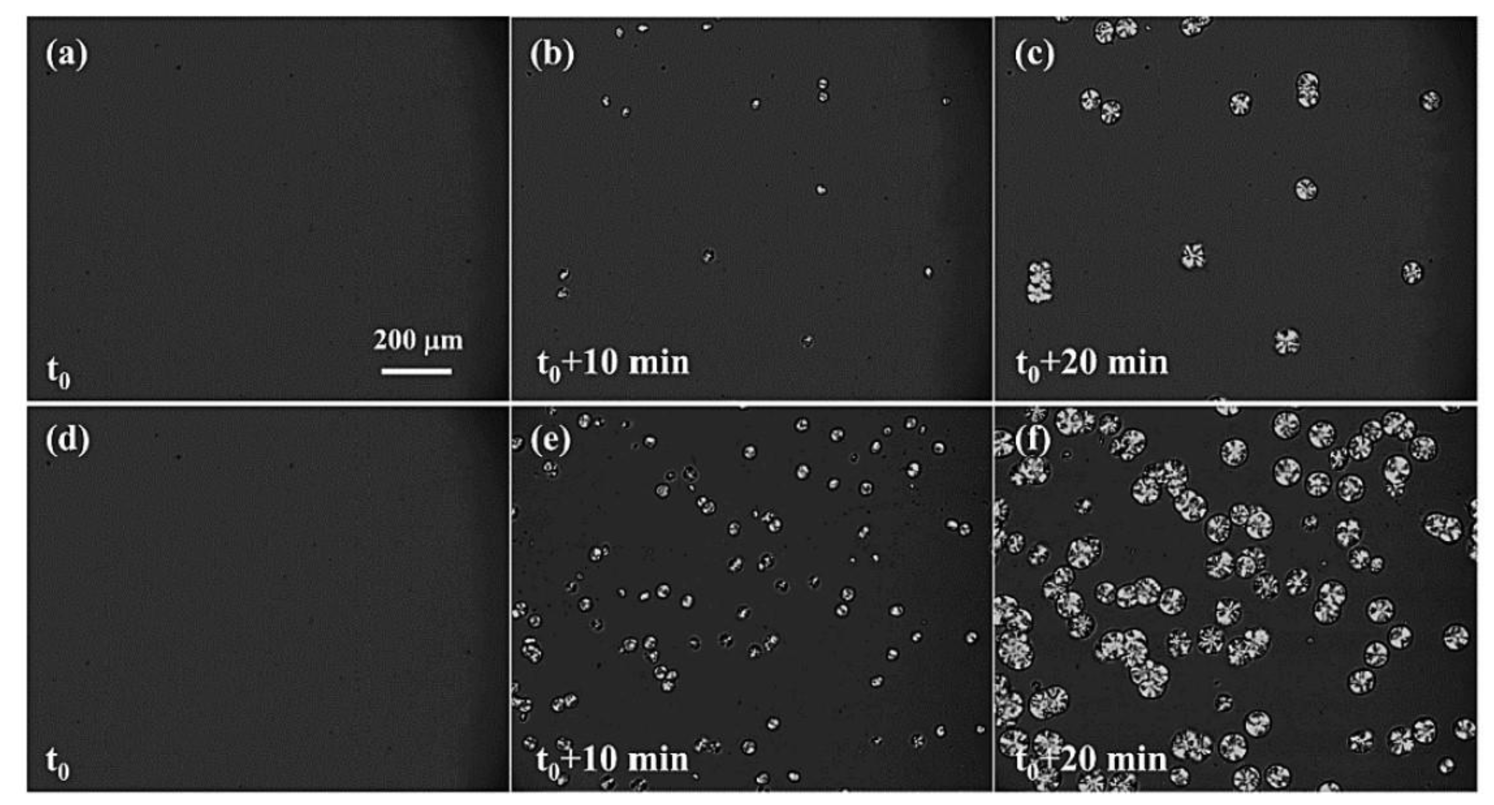 Crystals 14 00385 g018