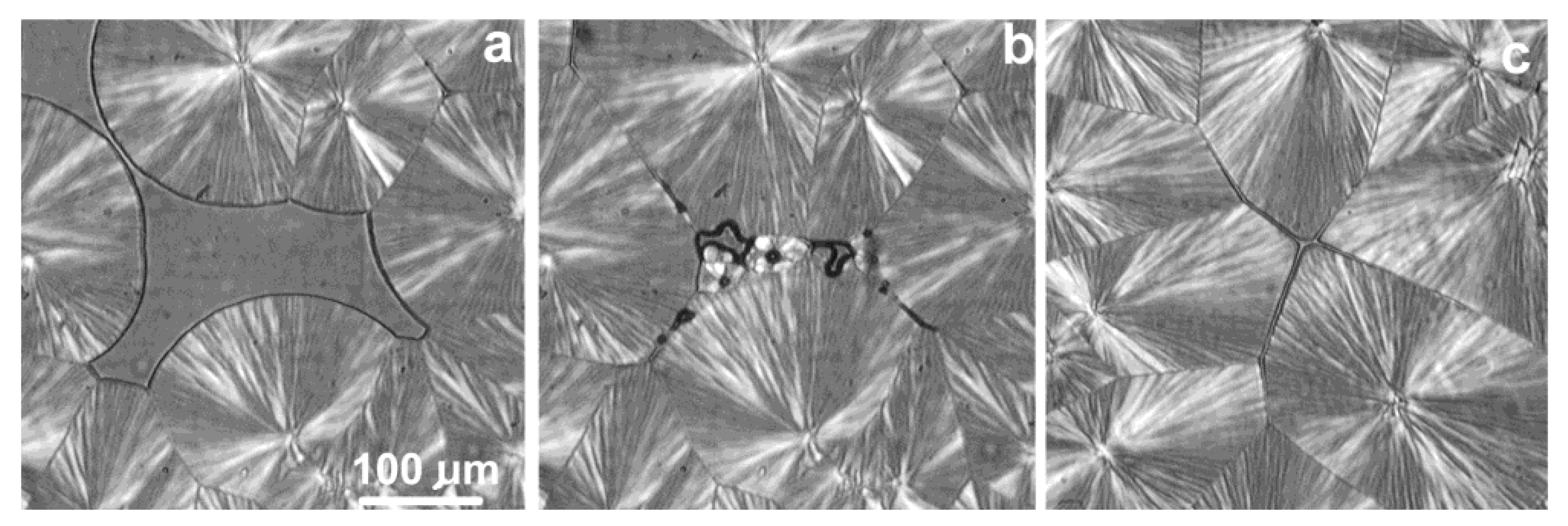 Crystals 14 00385 g024