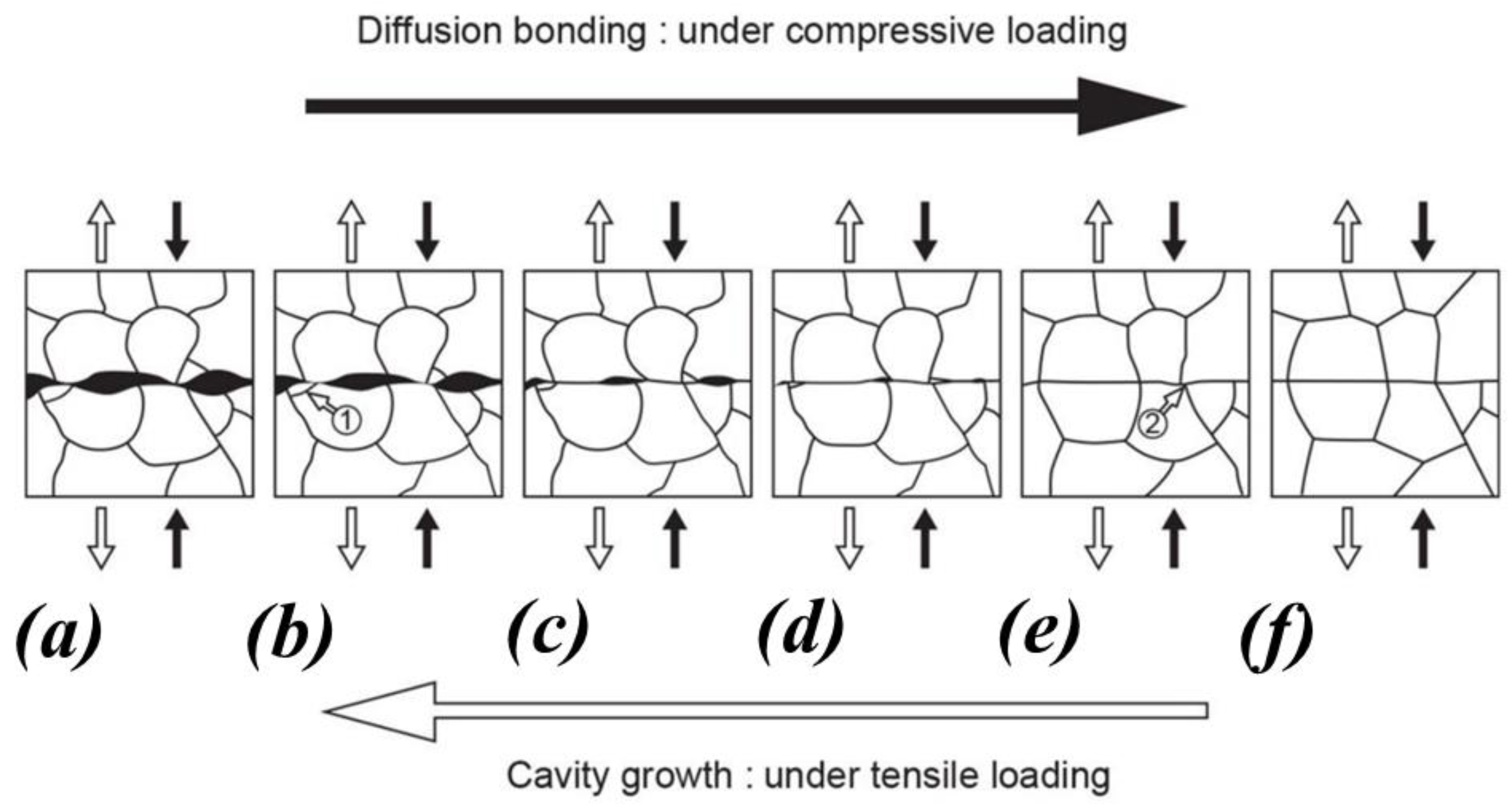 Crystals 14 00412 g006 Crystals 14 00412 g006