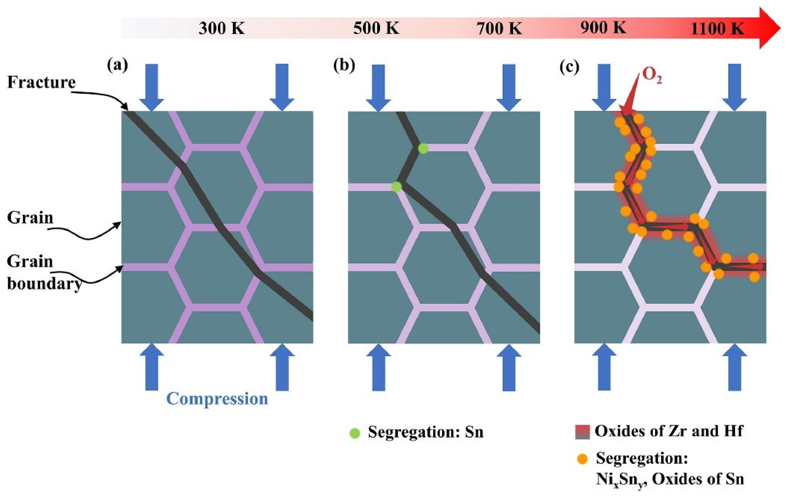 Crystals 14 00432 g007