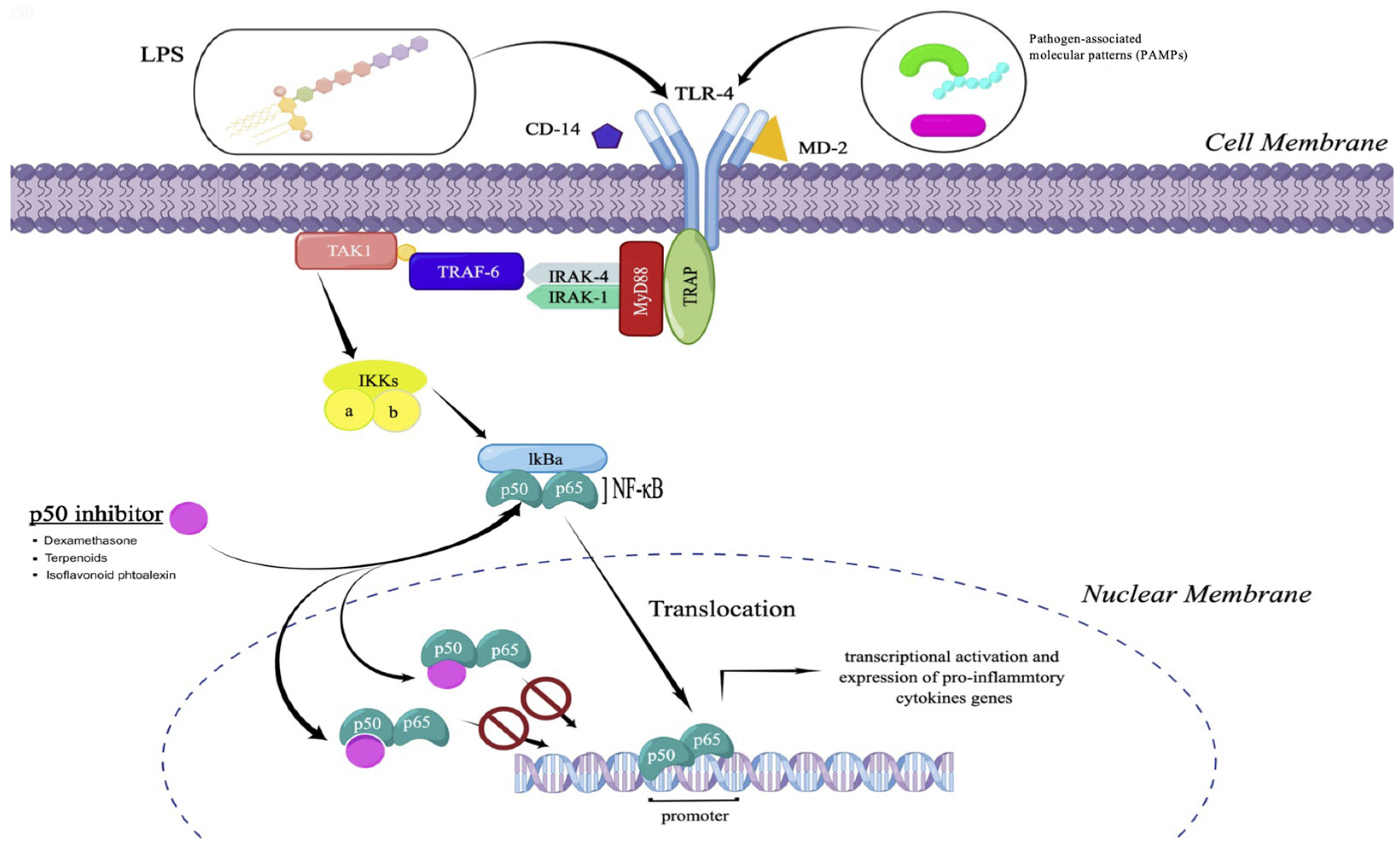 Crystals 14 00438 g001