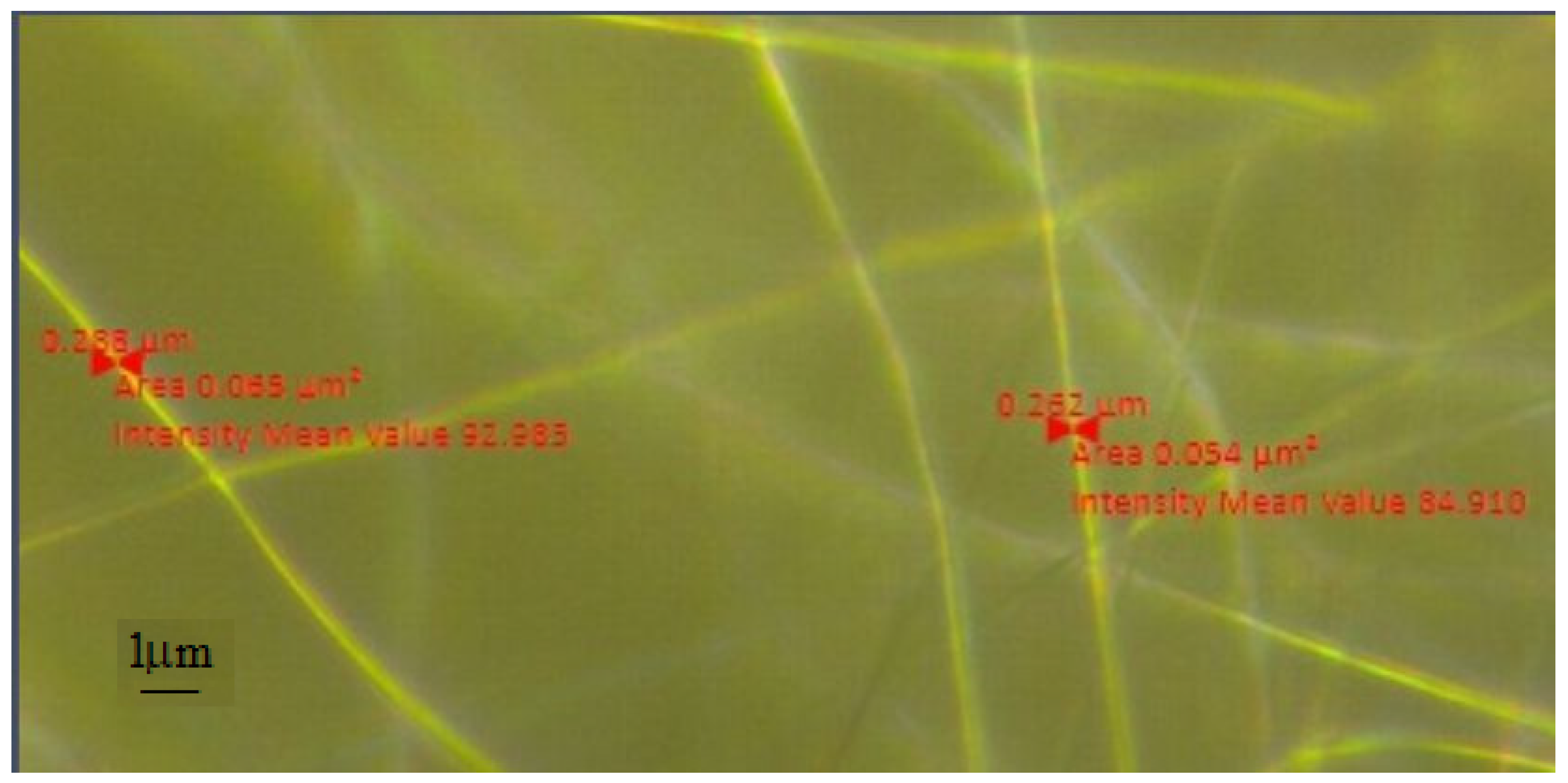 Crystals 14 00454 g002