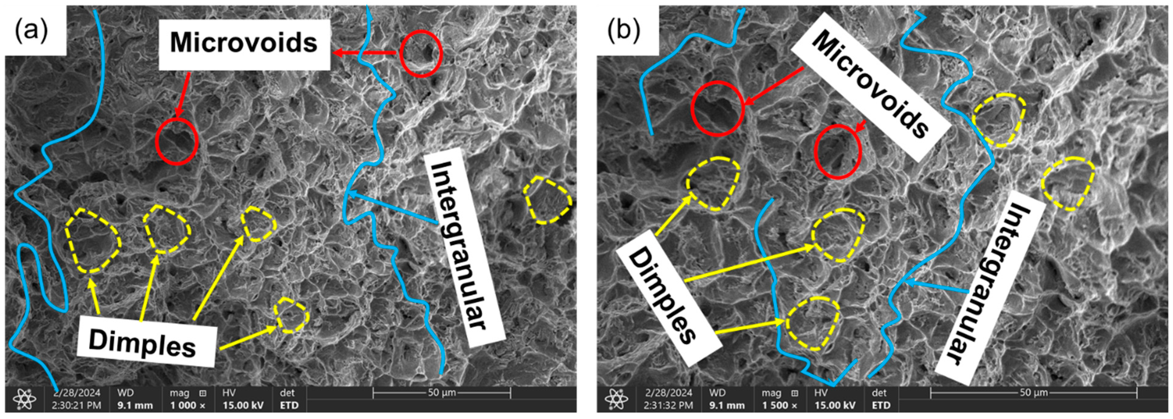 Crystals 14 00529 g012