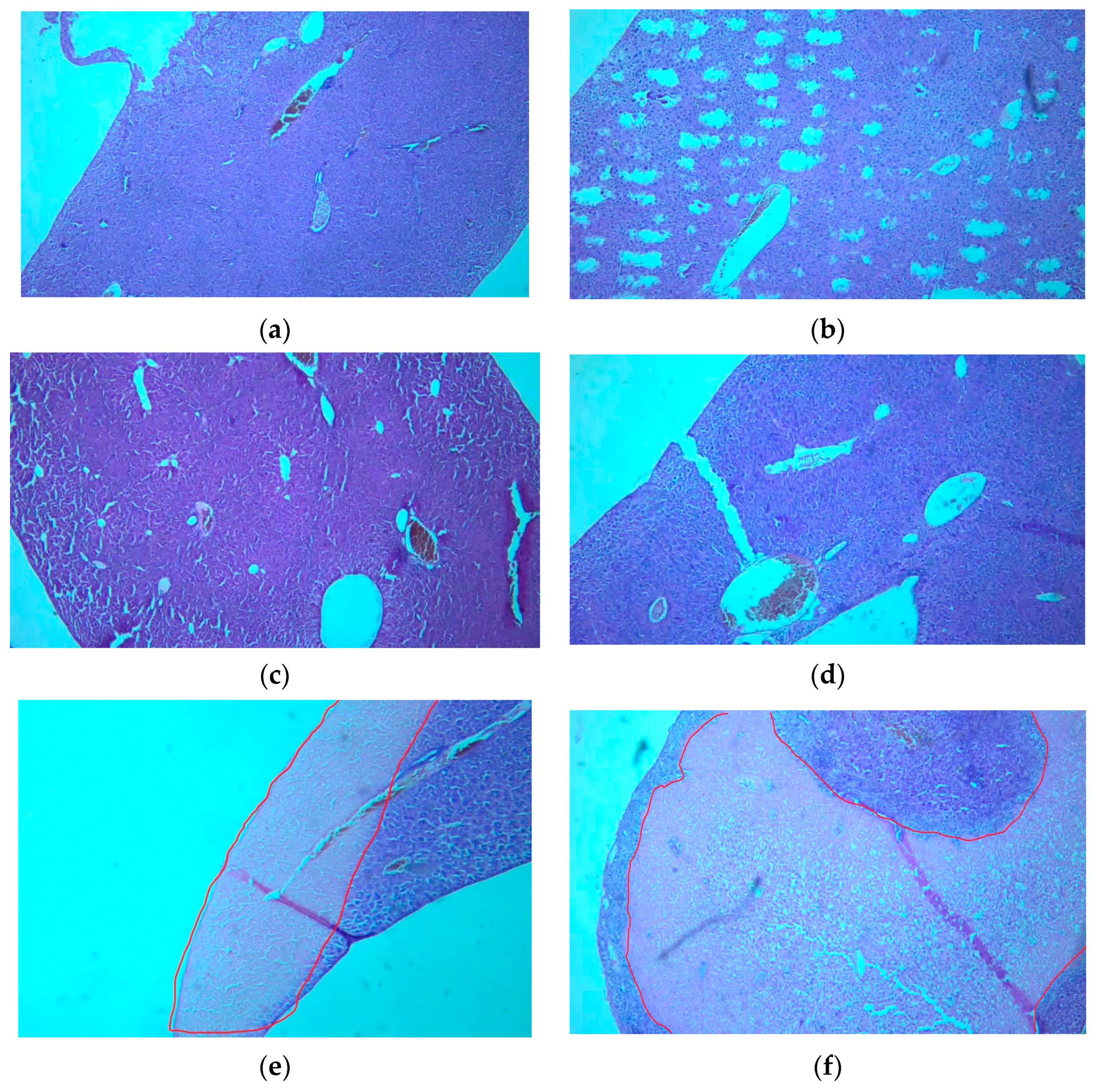 Crystals 14 00560 g012