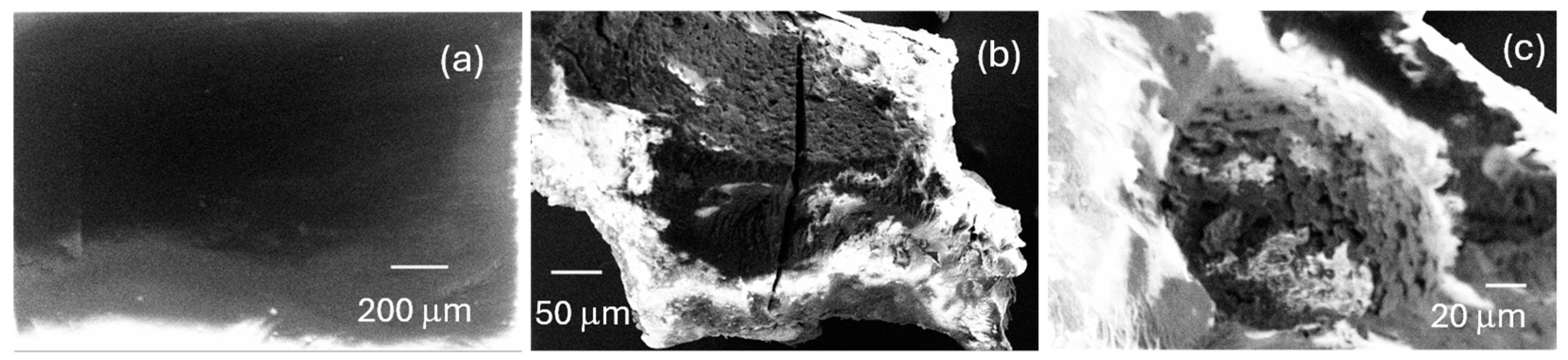 Crystals 14 00567 g007