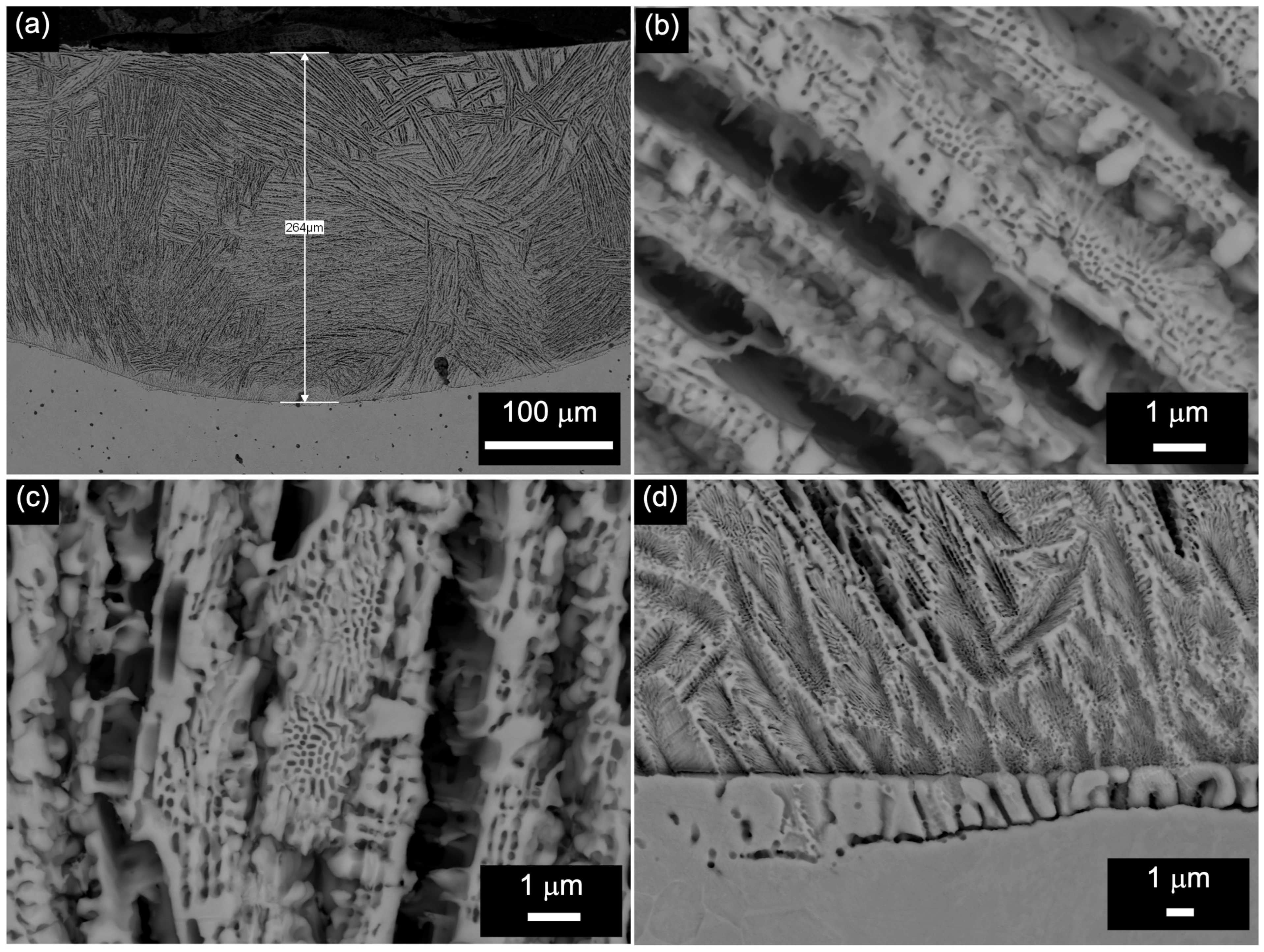 Crystals 14 00569 g003 Crystals 14 00569 g003