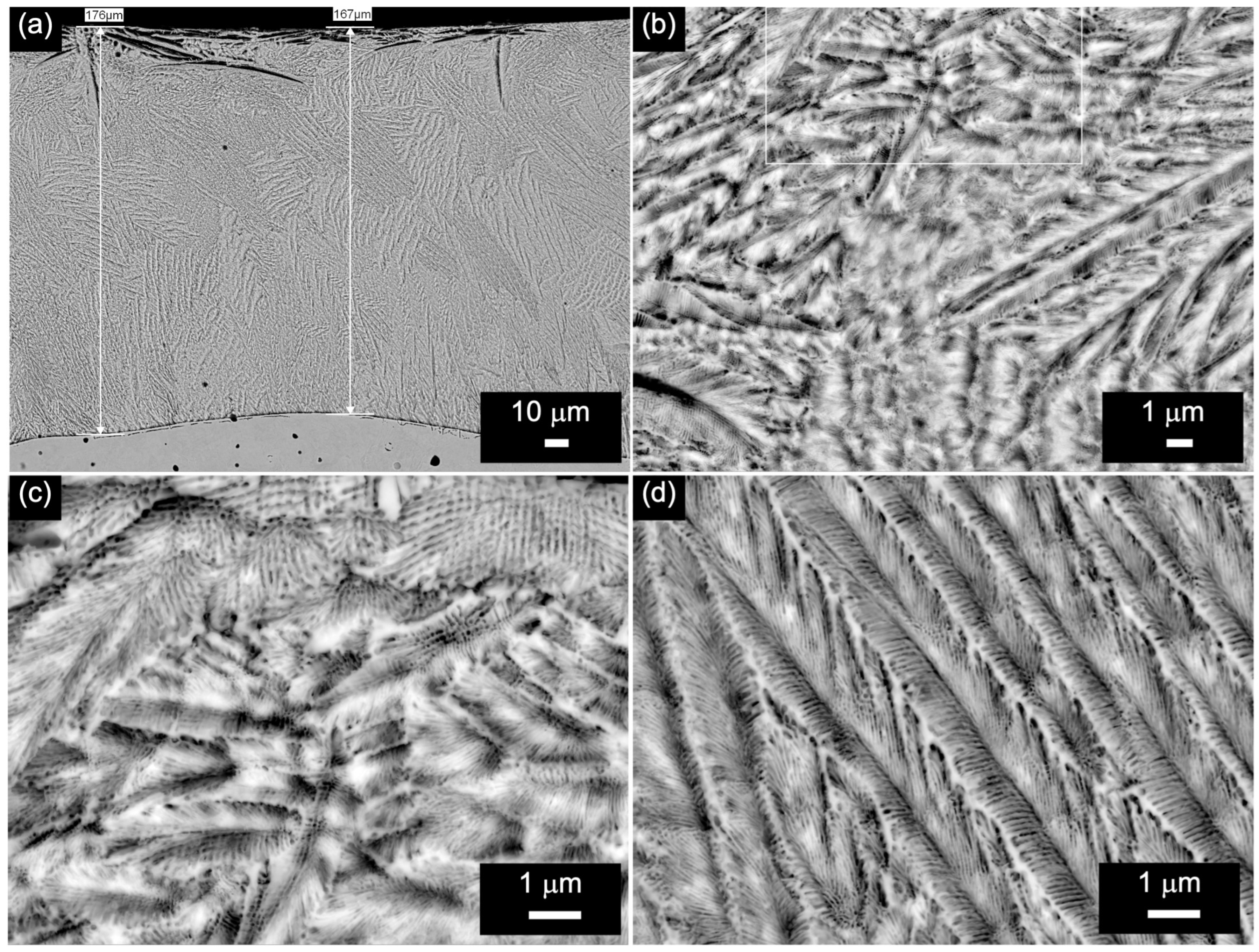 Crystals 14 00569 g004 Crystals 14 00569 g004