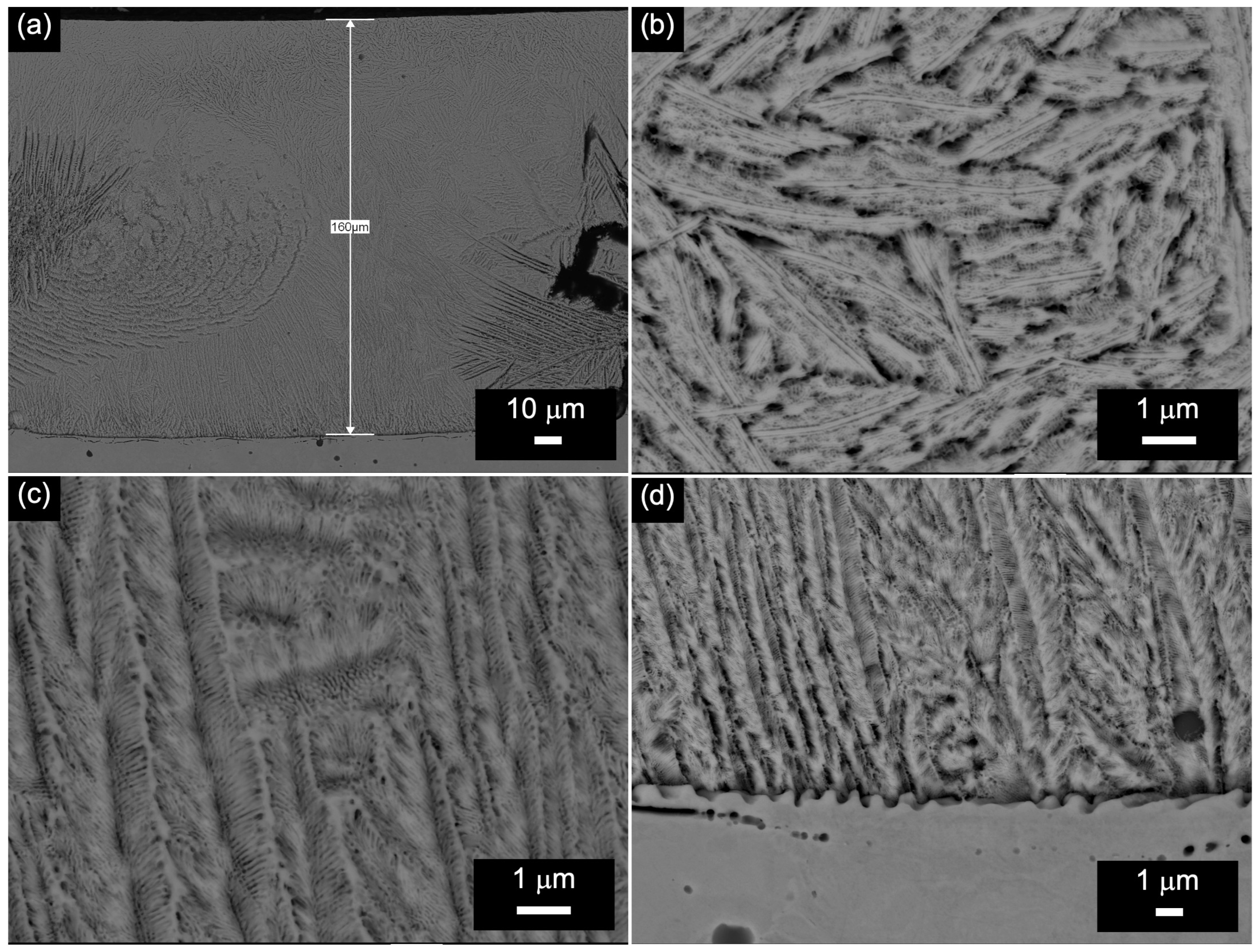 Crystals 14 00569 g007 Crystals 14 00569 g007