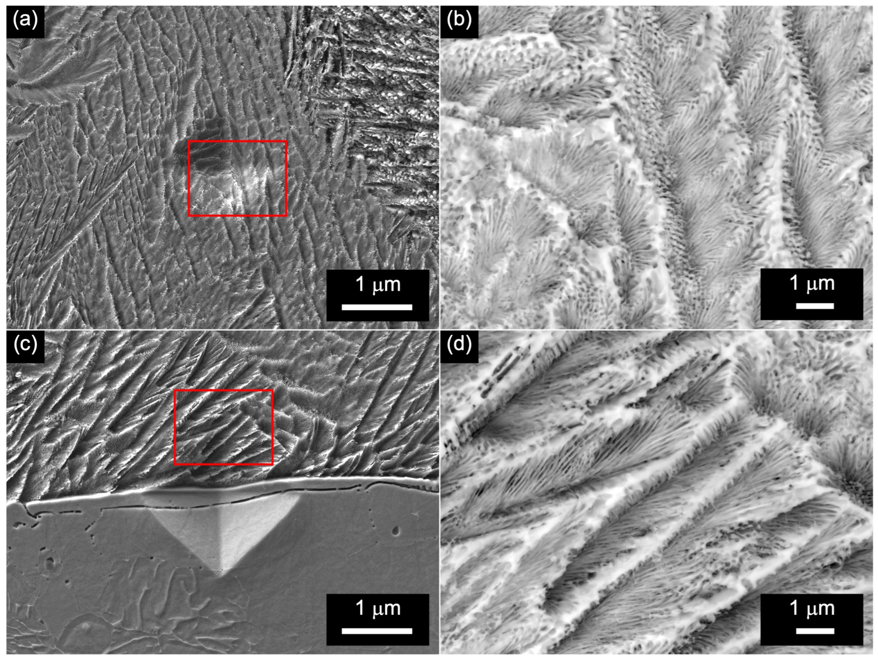 Crystals 14 00569 g013 Crystals 14 00569 g013