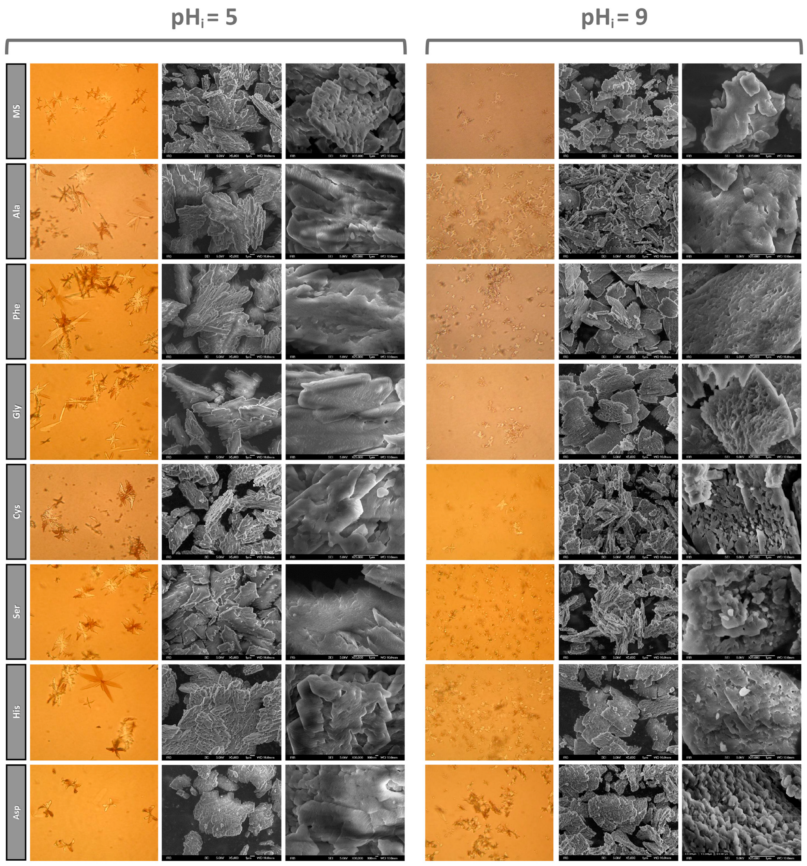 Crystals 14 00599 g006