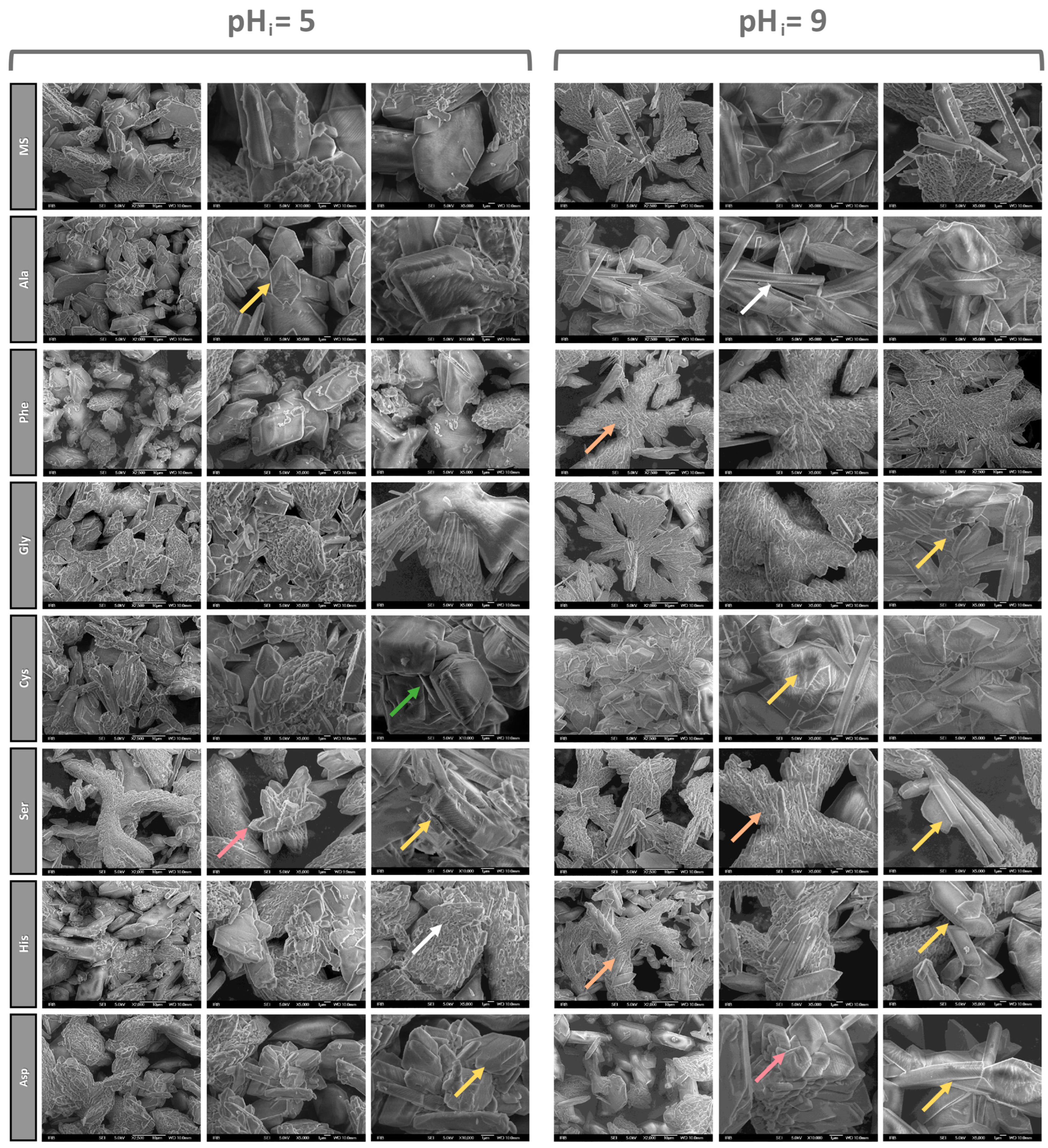 Crystals 14 00599 g007