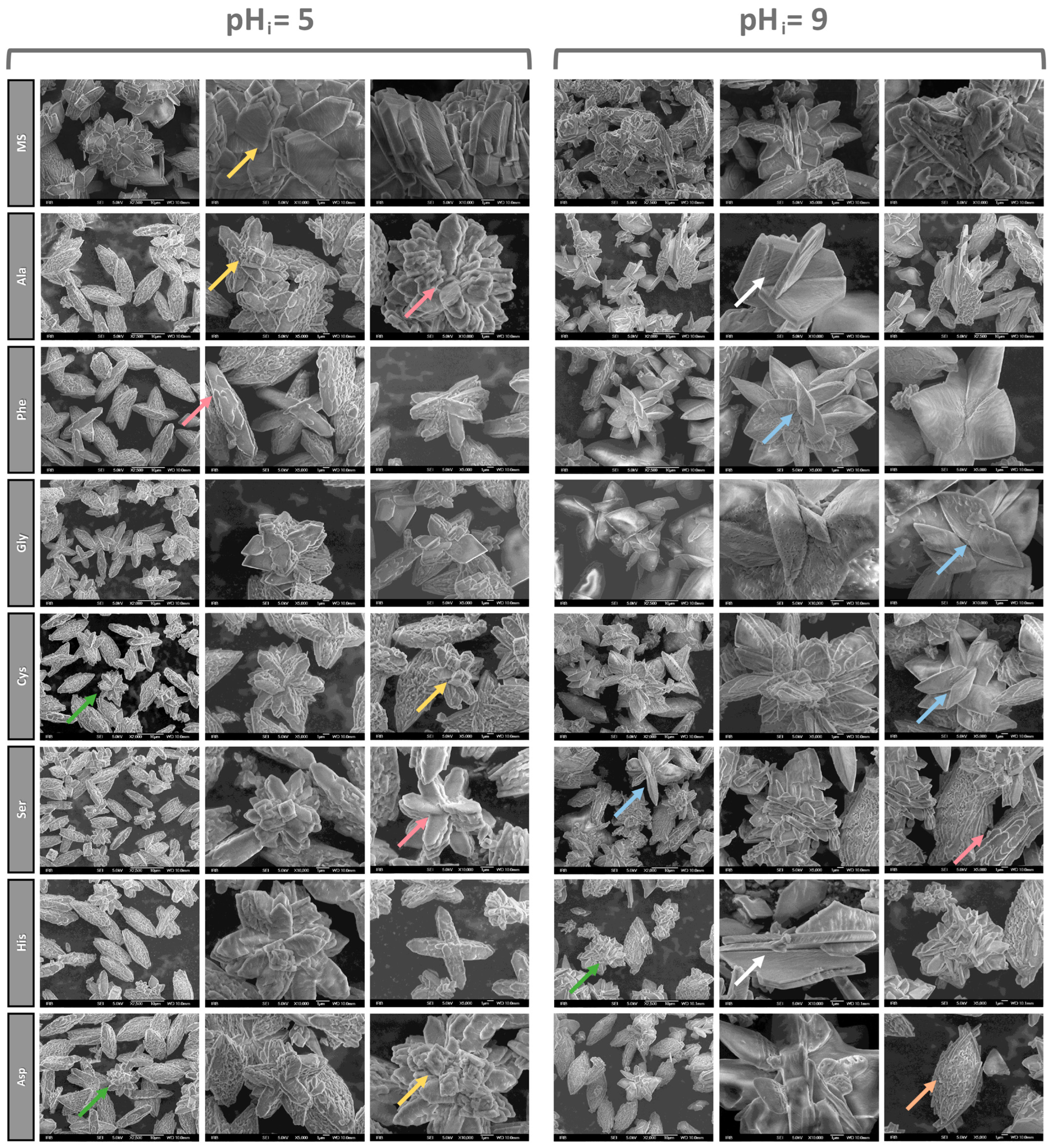 Crystals 14 00599 g008