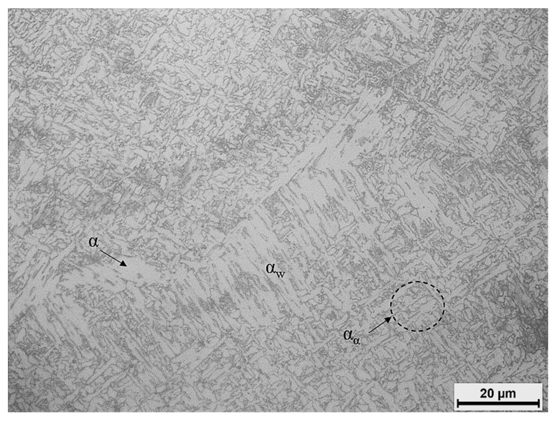 Crystals 14 00609 g005