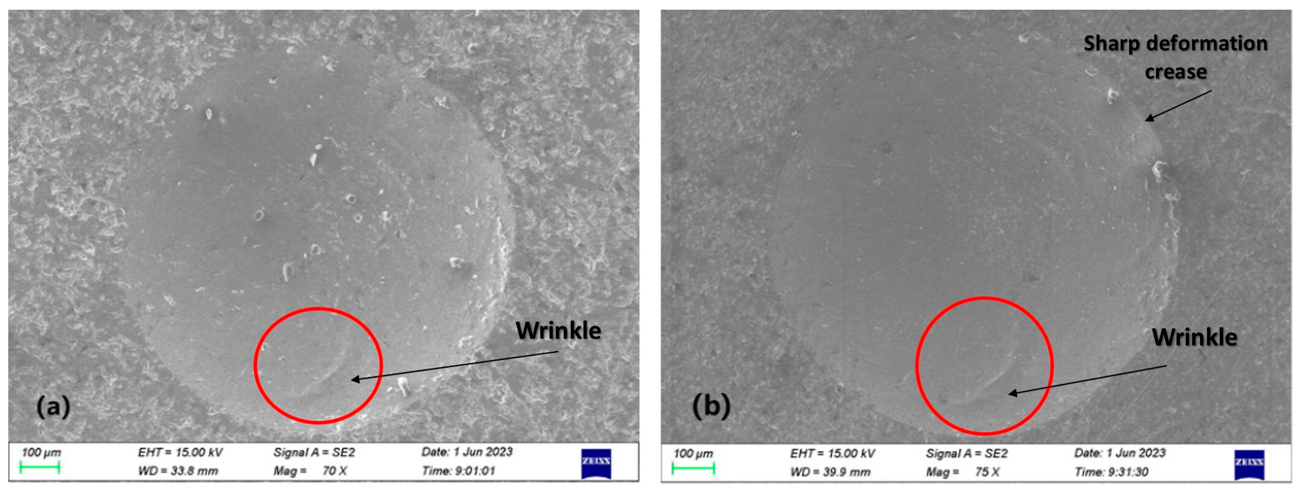Crystals 14 00610 g007