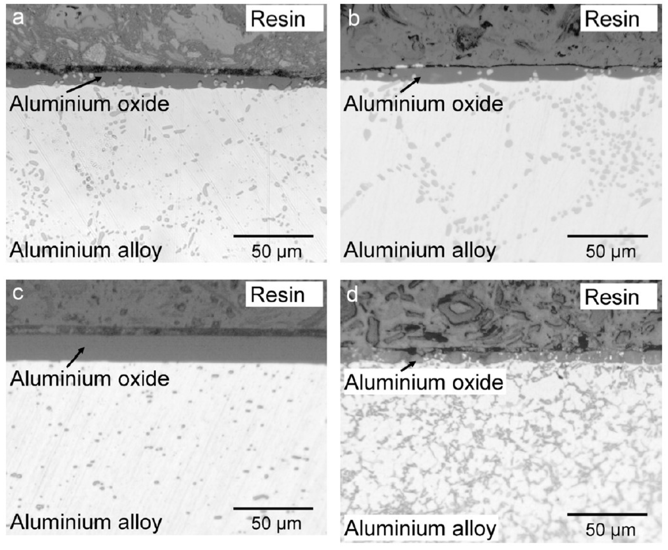 Crystals 14 00617 g008 Crystals 14 00617 g008