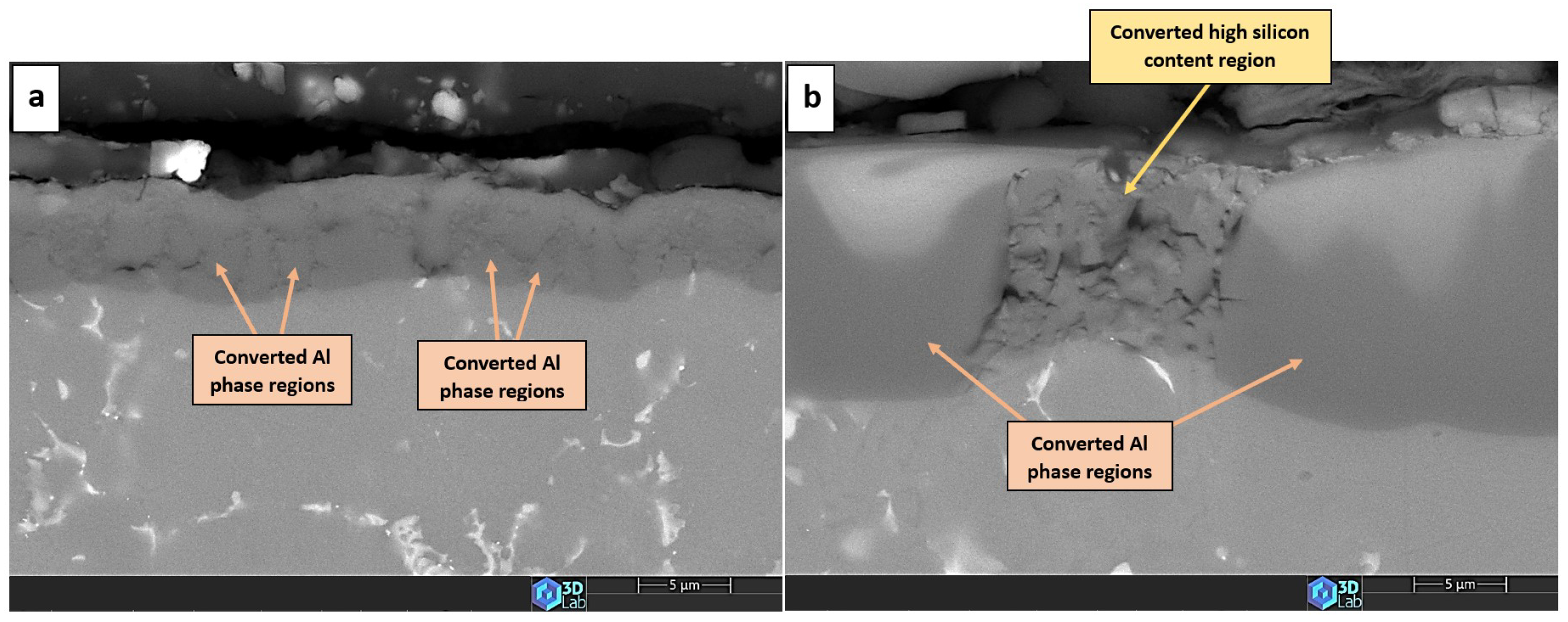 Crystals 14 00617 g010 Crystals 14 00617 g010