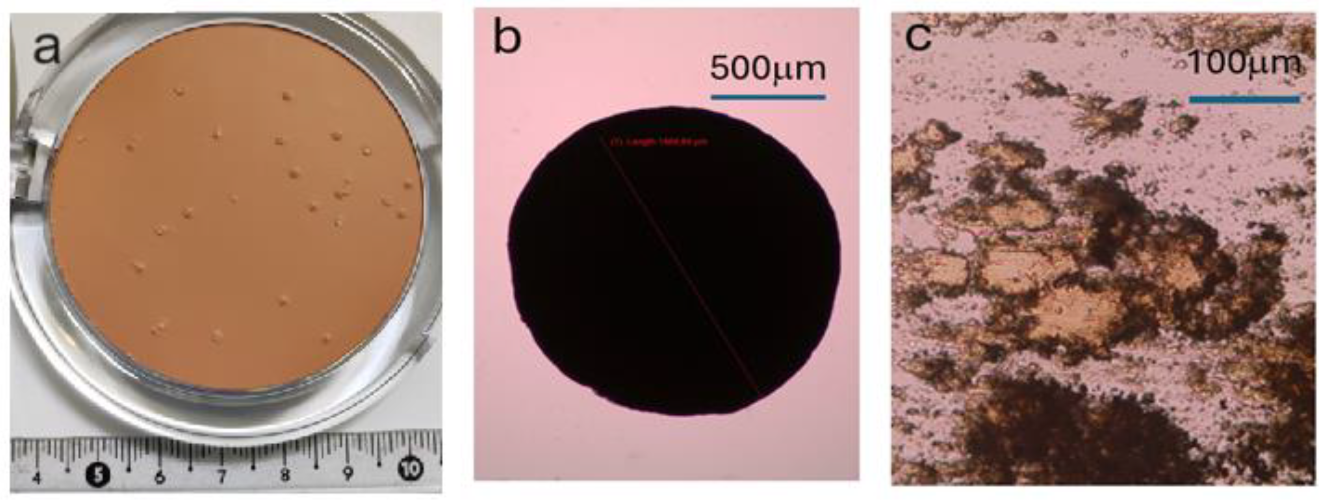 Crystals 14 00663 g001