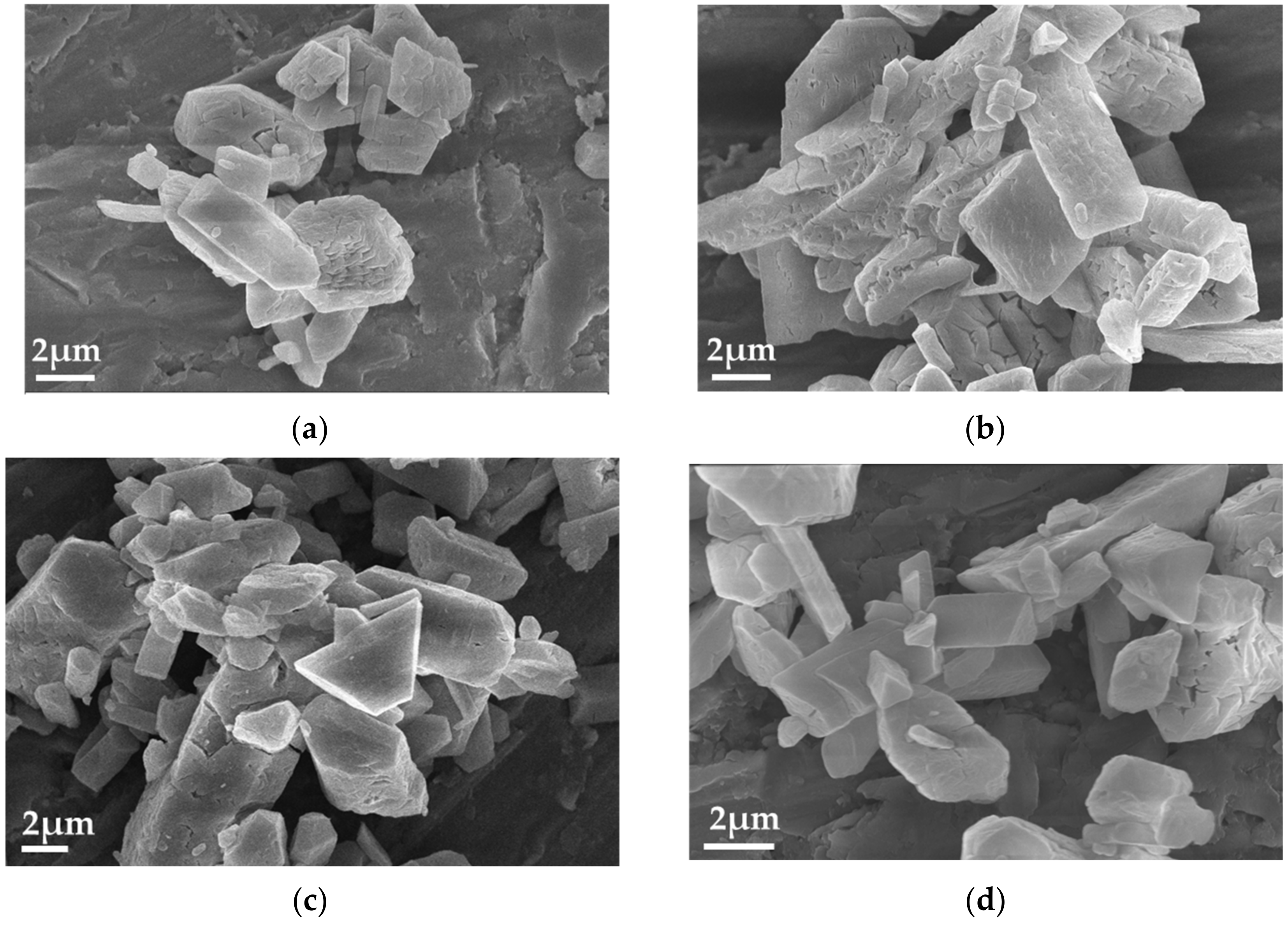 Crystals 14 00675 g020