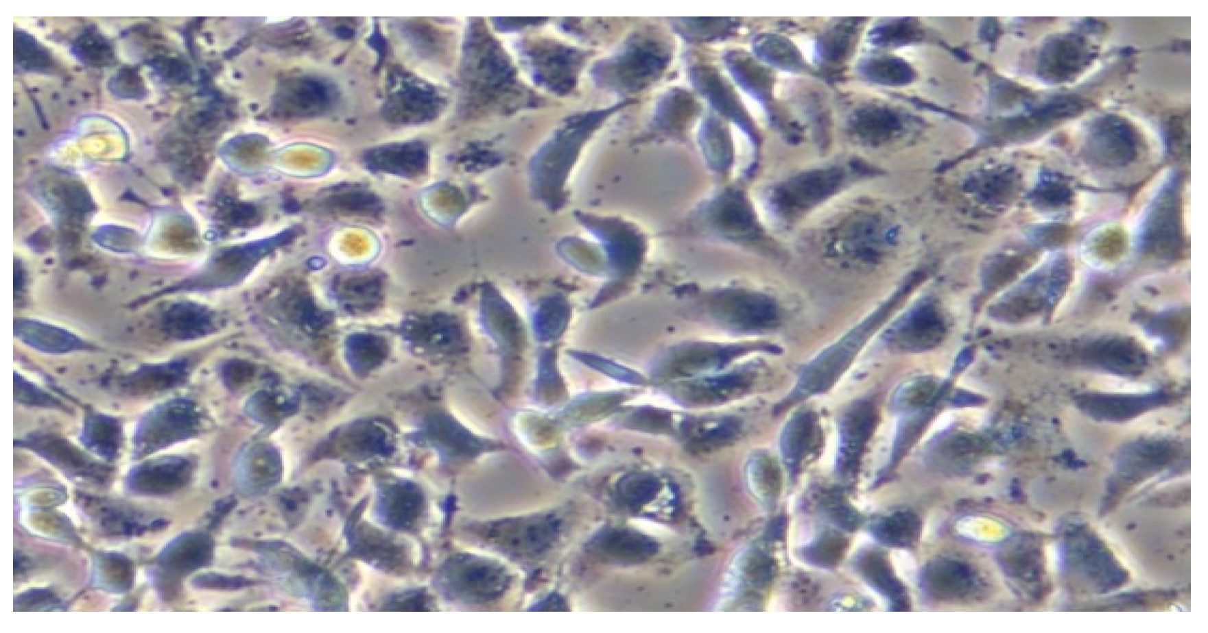 Crystals 14 00696 g006