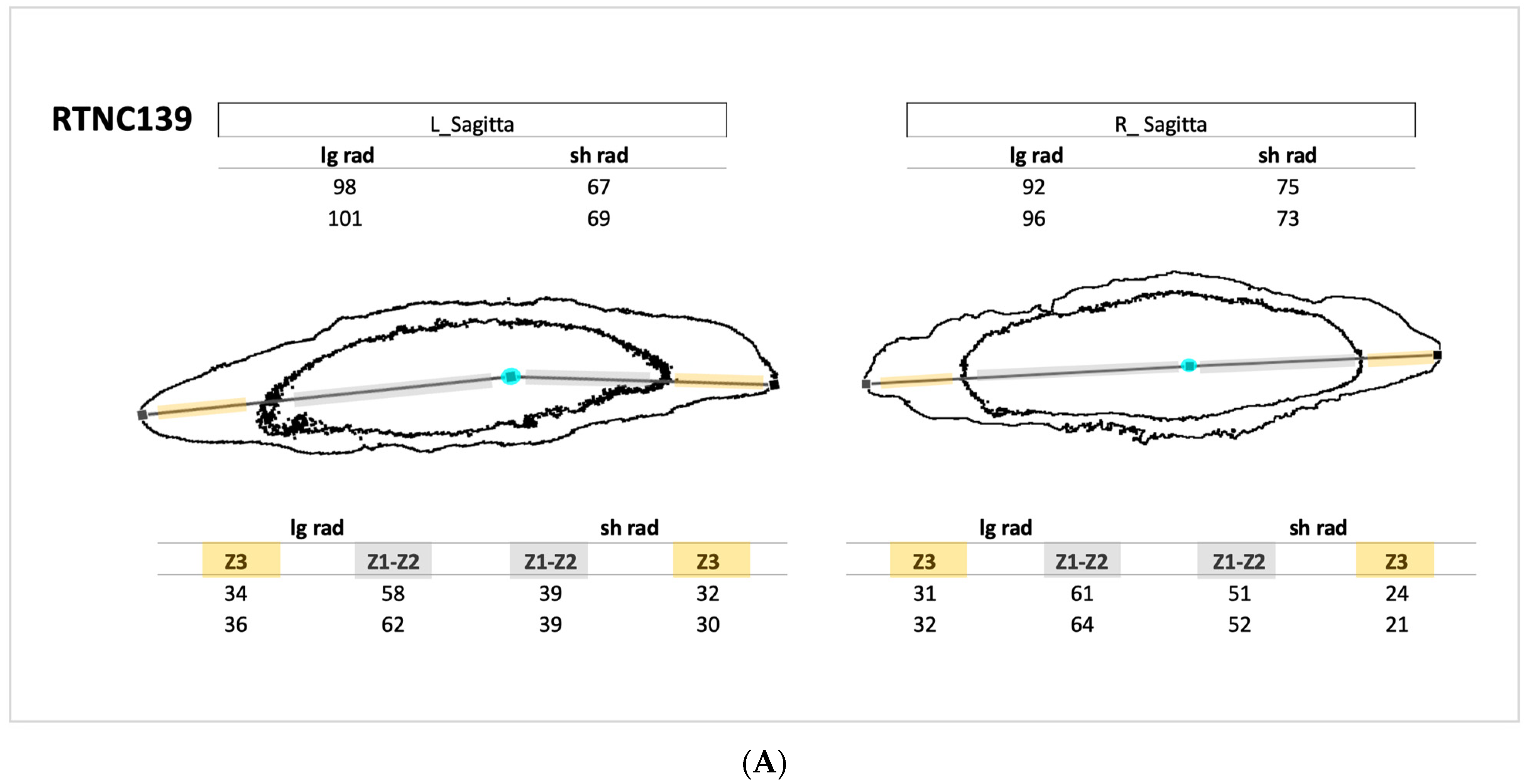 Crystals 14 00705 g004a
