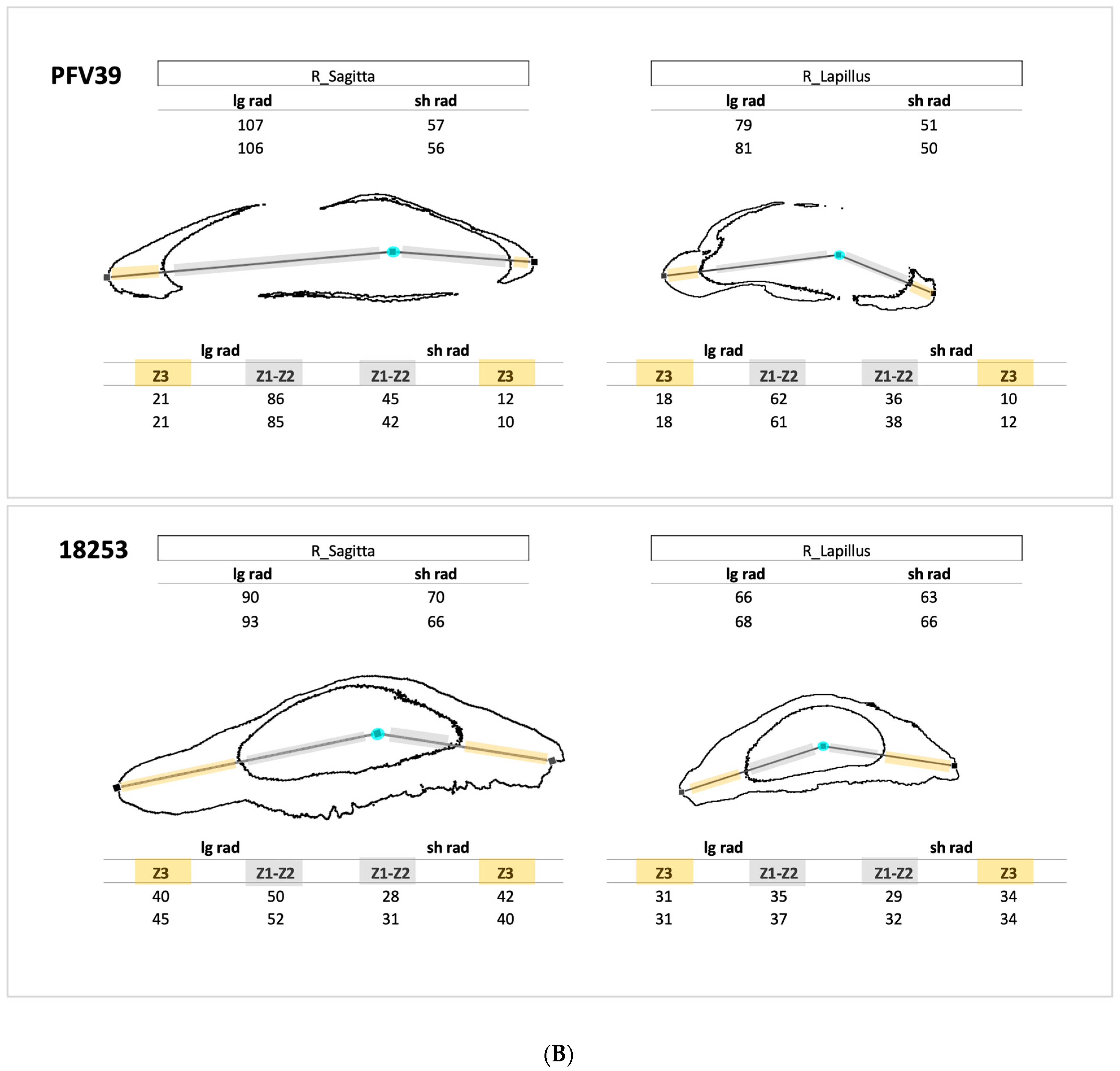 Crystals 14 00705 g004b