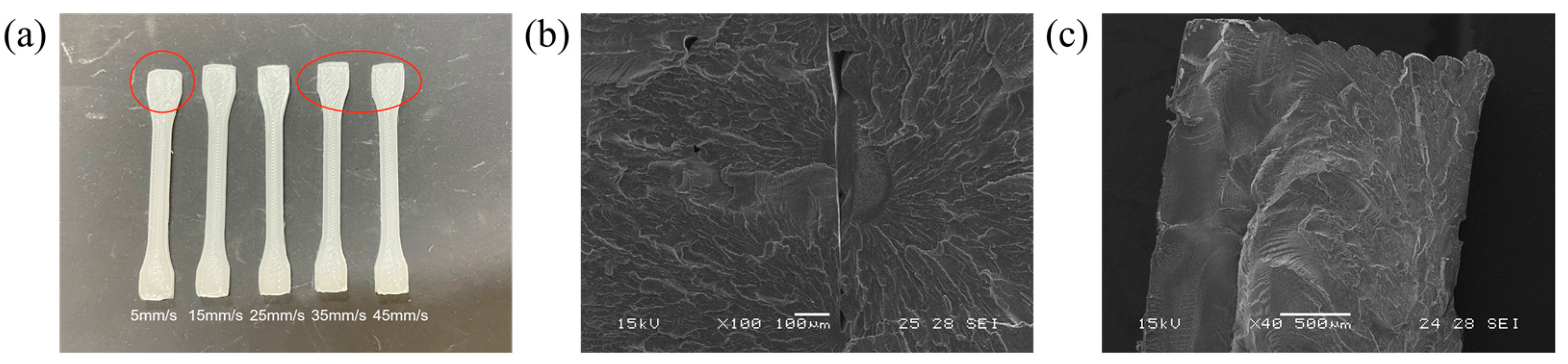 Crystals 14 00717 g004