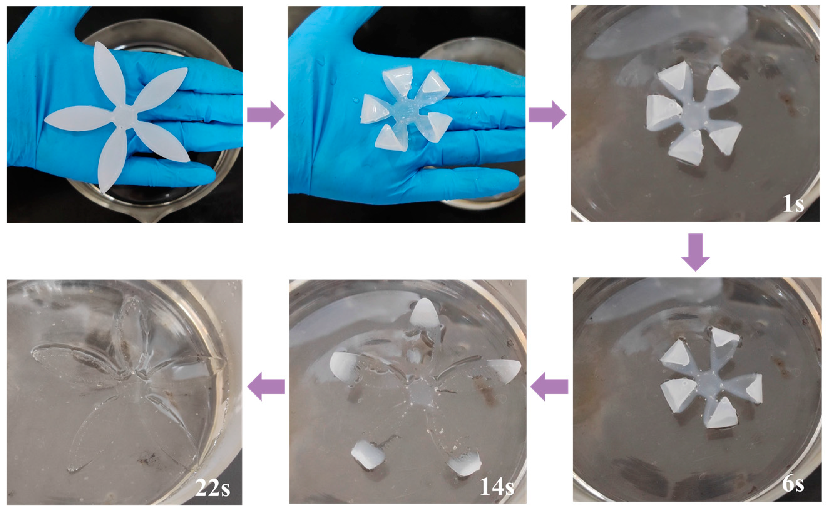 Crystals 14 00717 g012