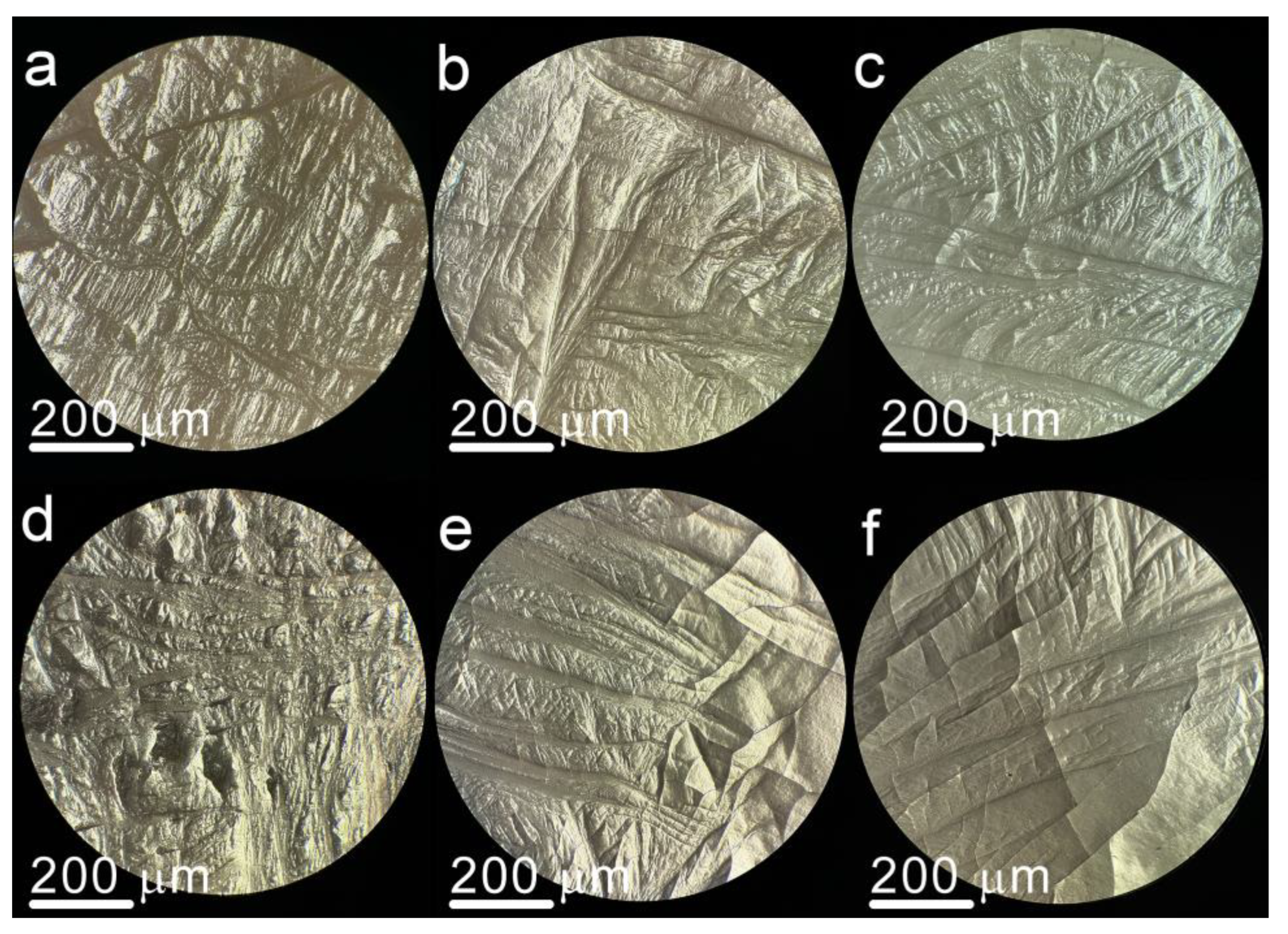 Crystals 14 00736 g006