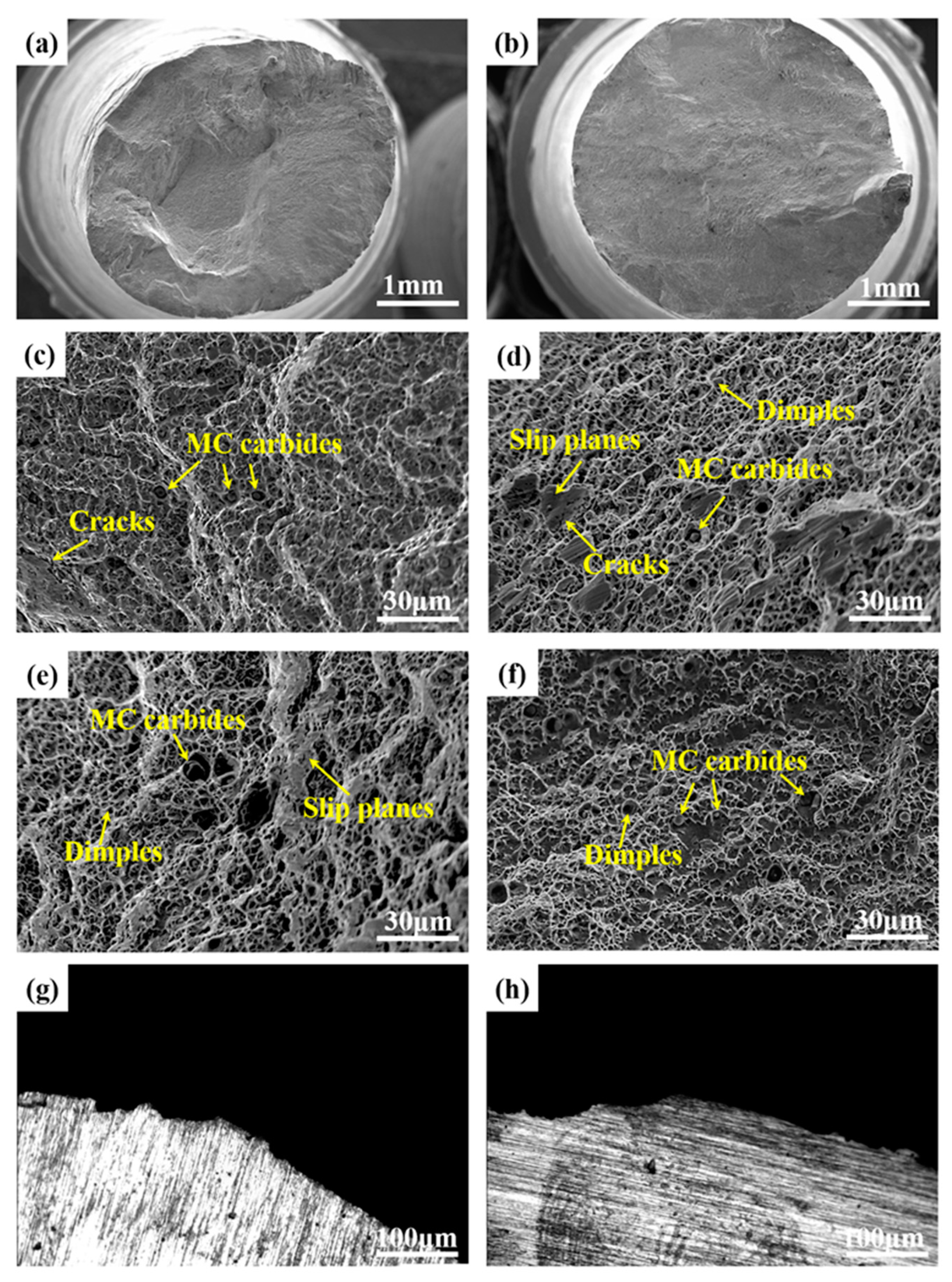 Crystals 14 00764 g010
