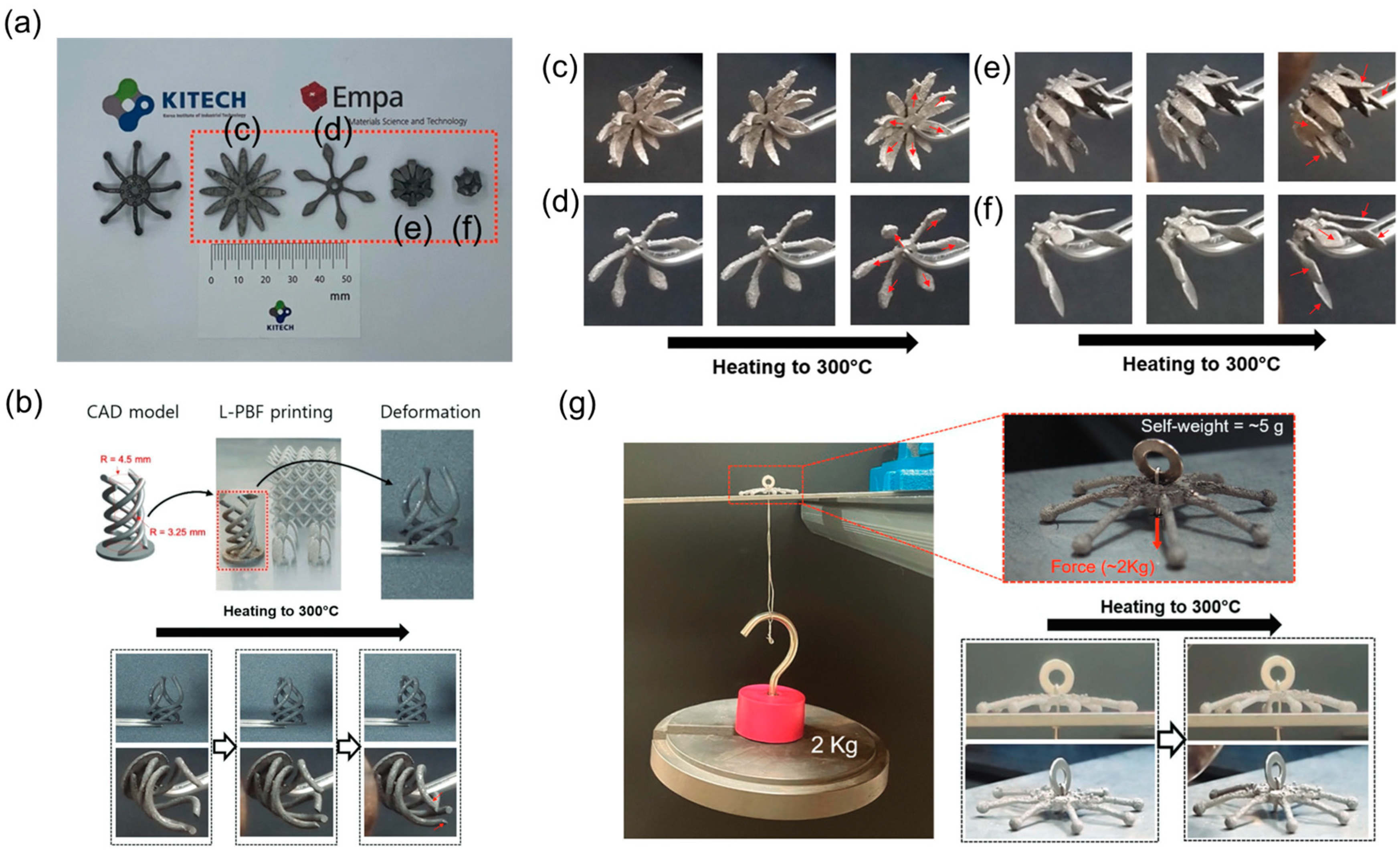 Crystals 14 00773 g003 Crystals 14 00773 g003