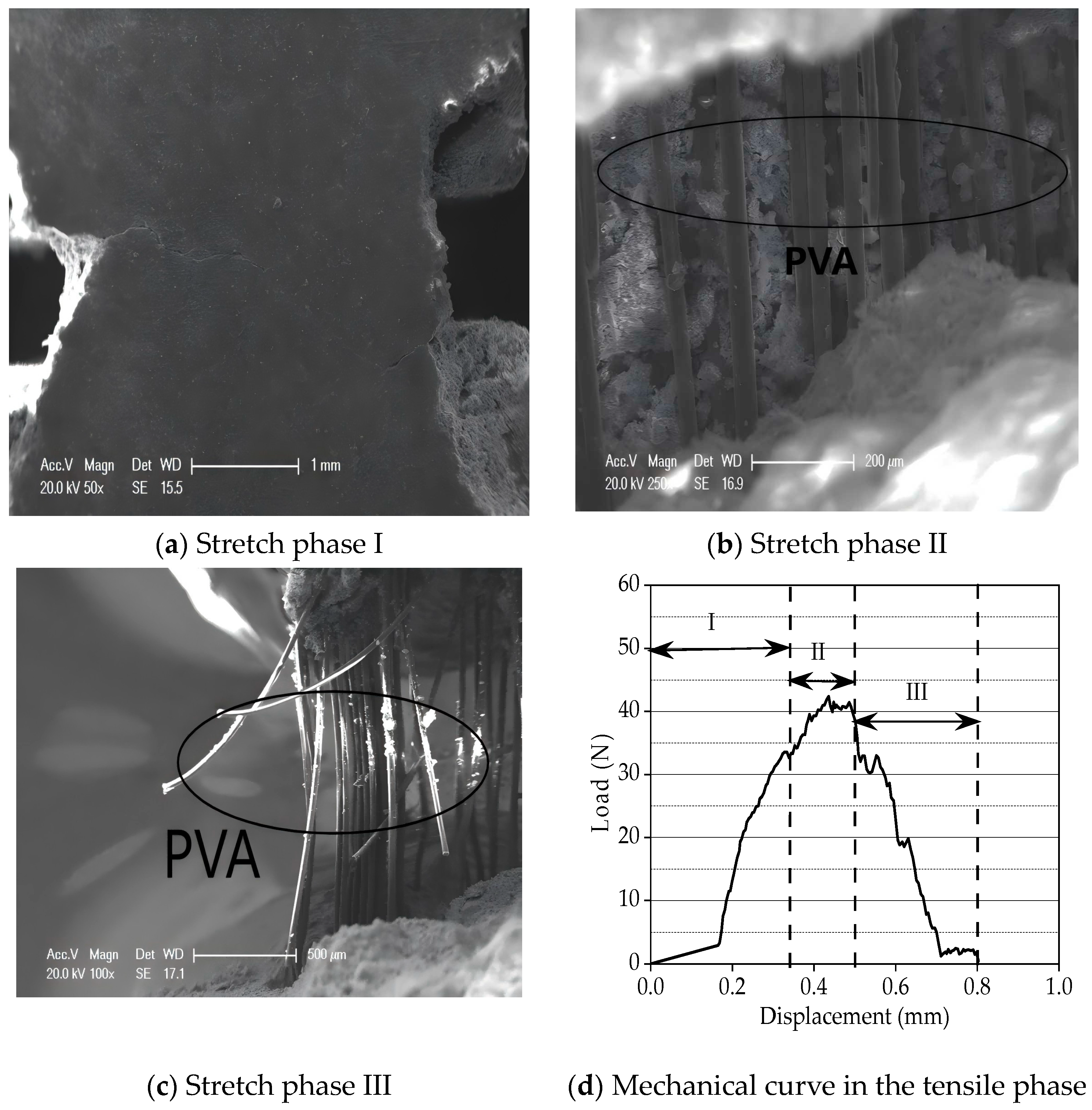 Crystals 14 00778 g006