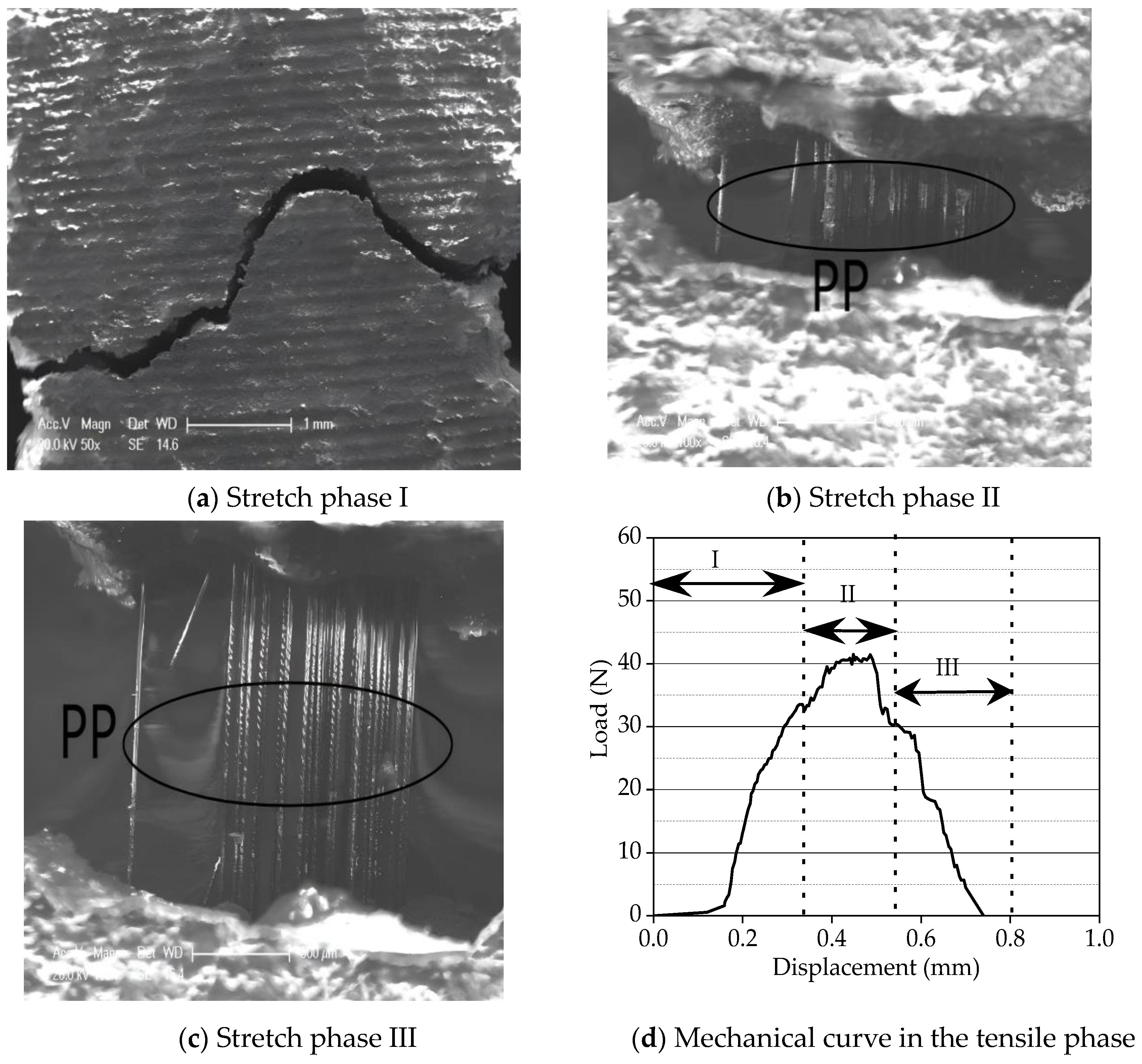 Crystals 14 00778 g007