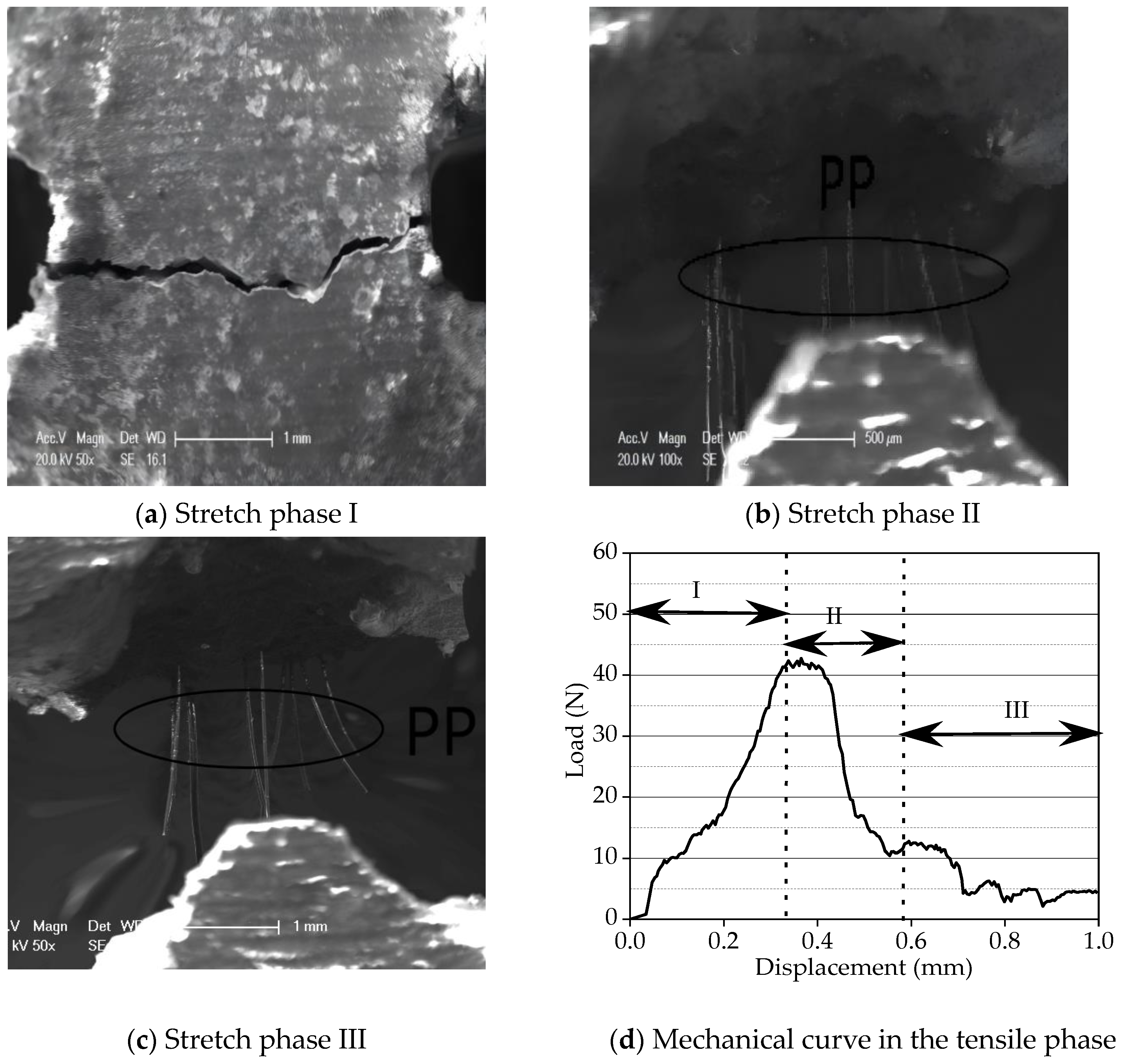 Crystals 14 00778 g009