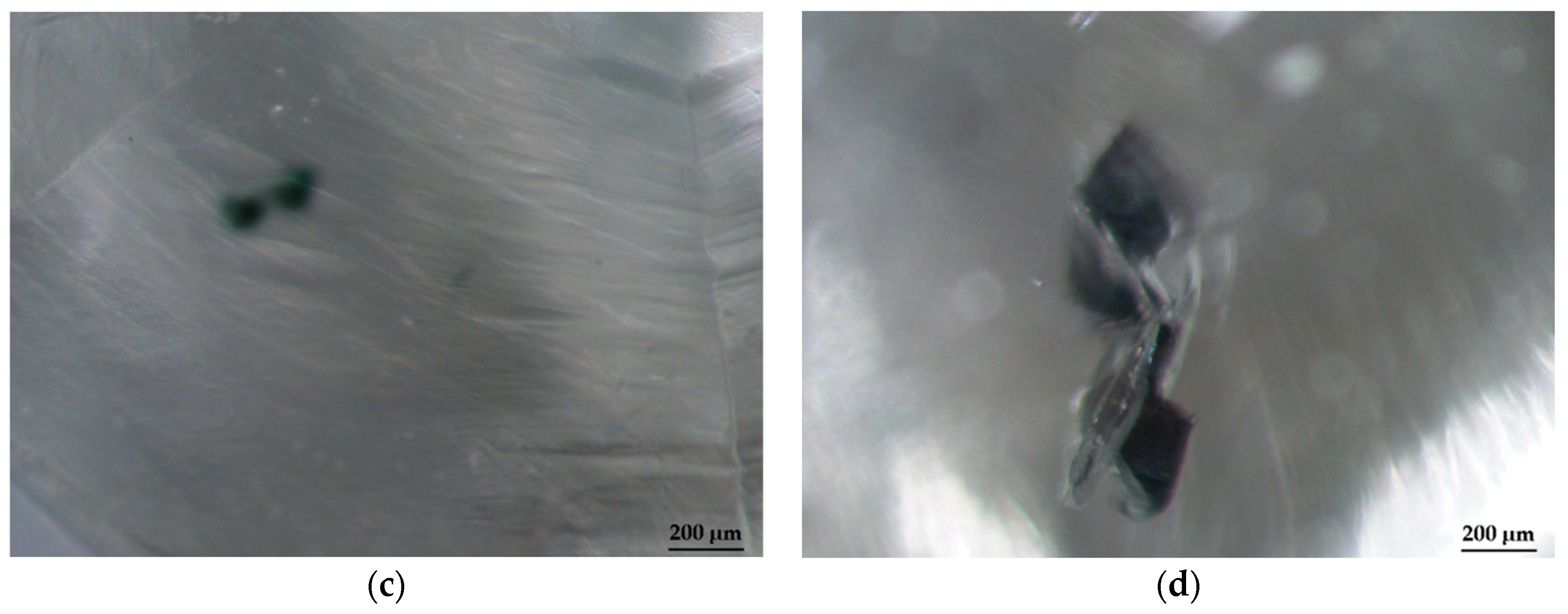 Crystals 14 00779 g002b