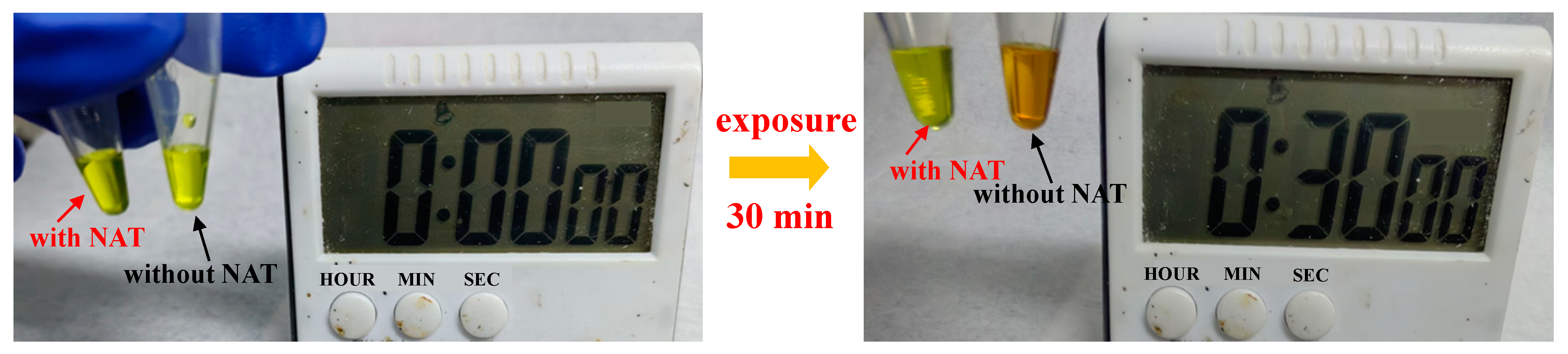 Crystals 14 00802 g006