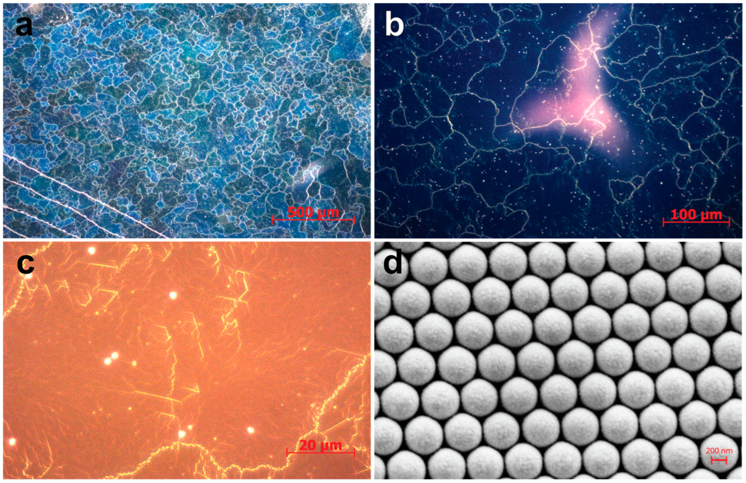 Crystals 14 00828 g005