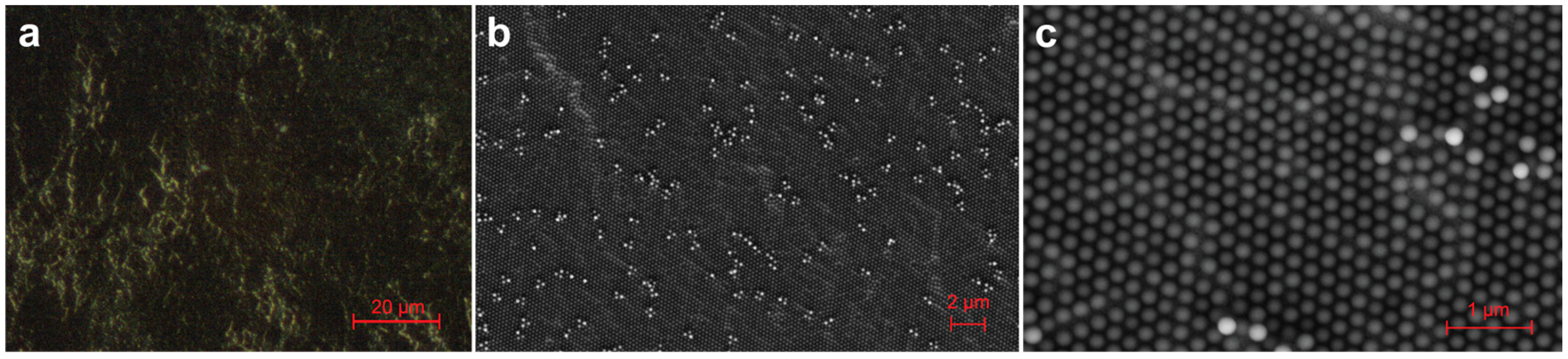 Crystals 14 00828 g006