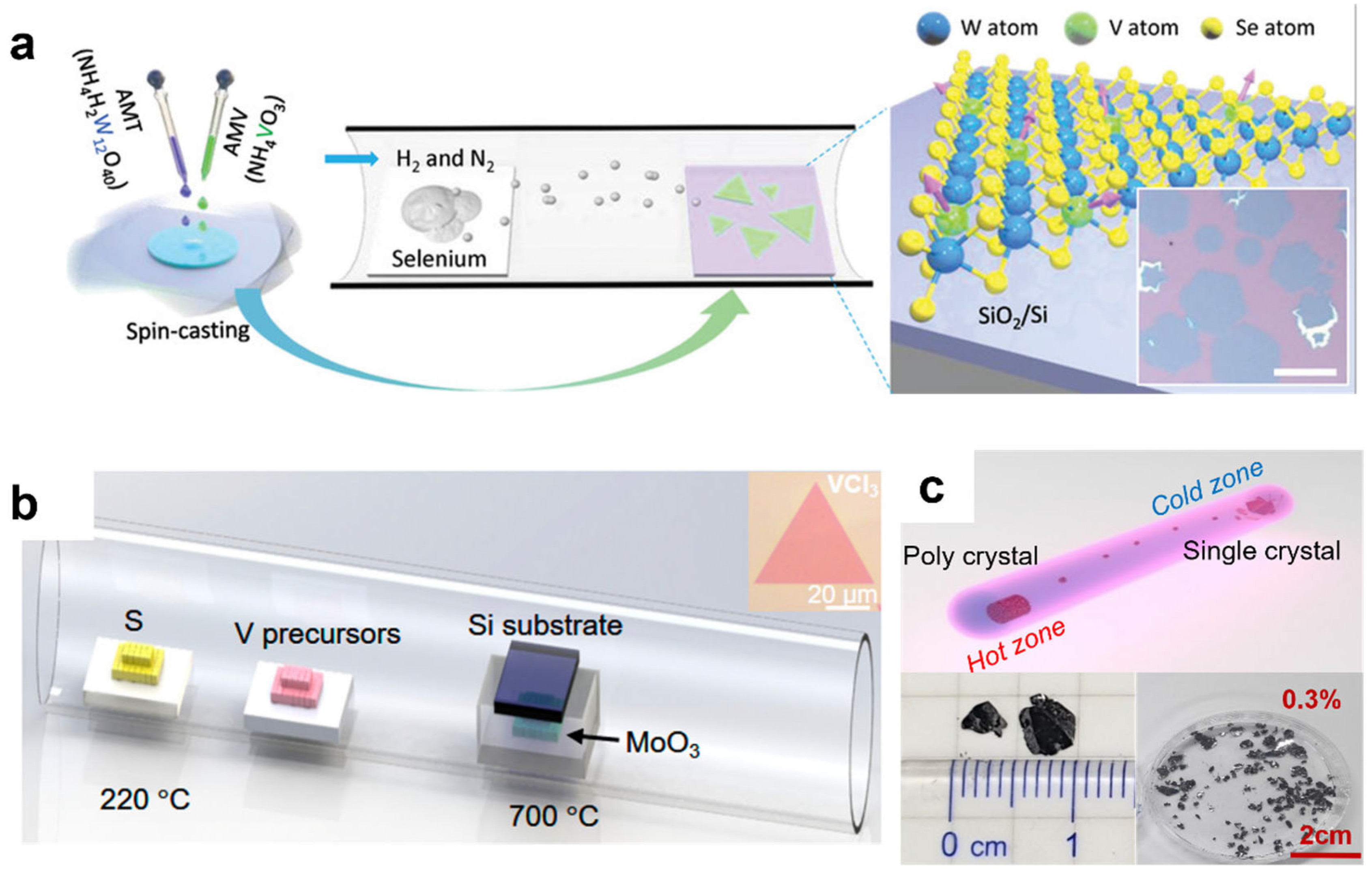 Crystals 14 00832 g001