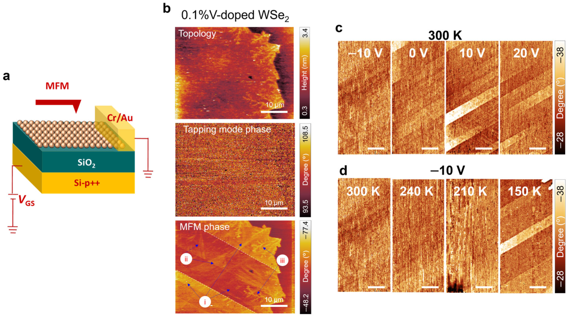 Crystals 14 00832 g005