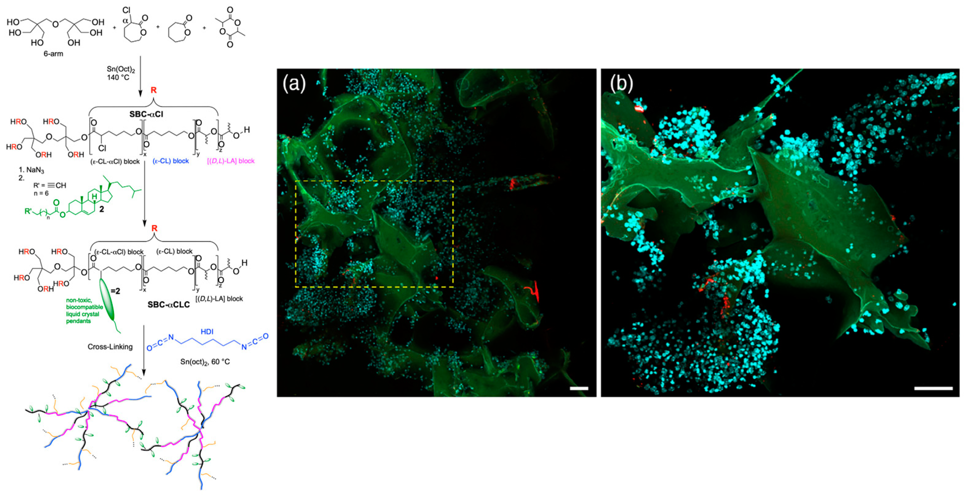 Crystals 14 00859 g001