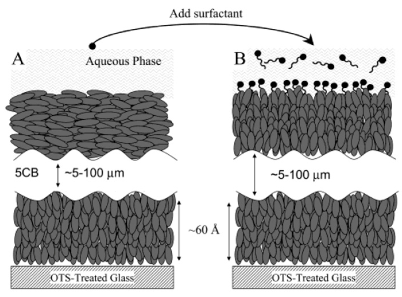 Crystals 14 00859 g008