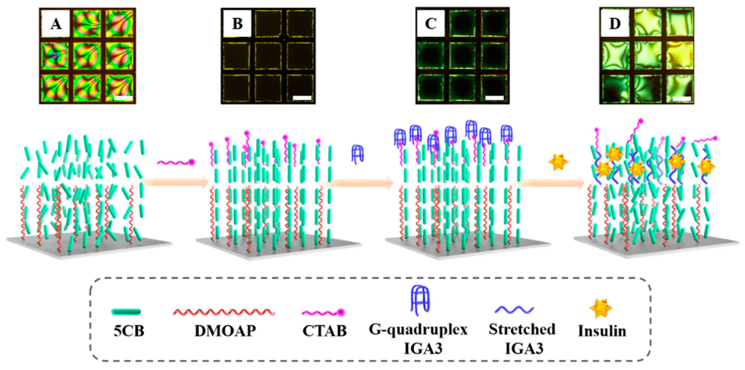 Crystals 14 00859 g011