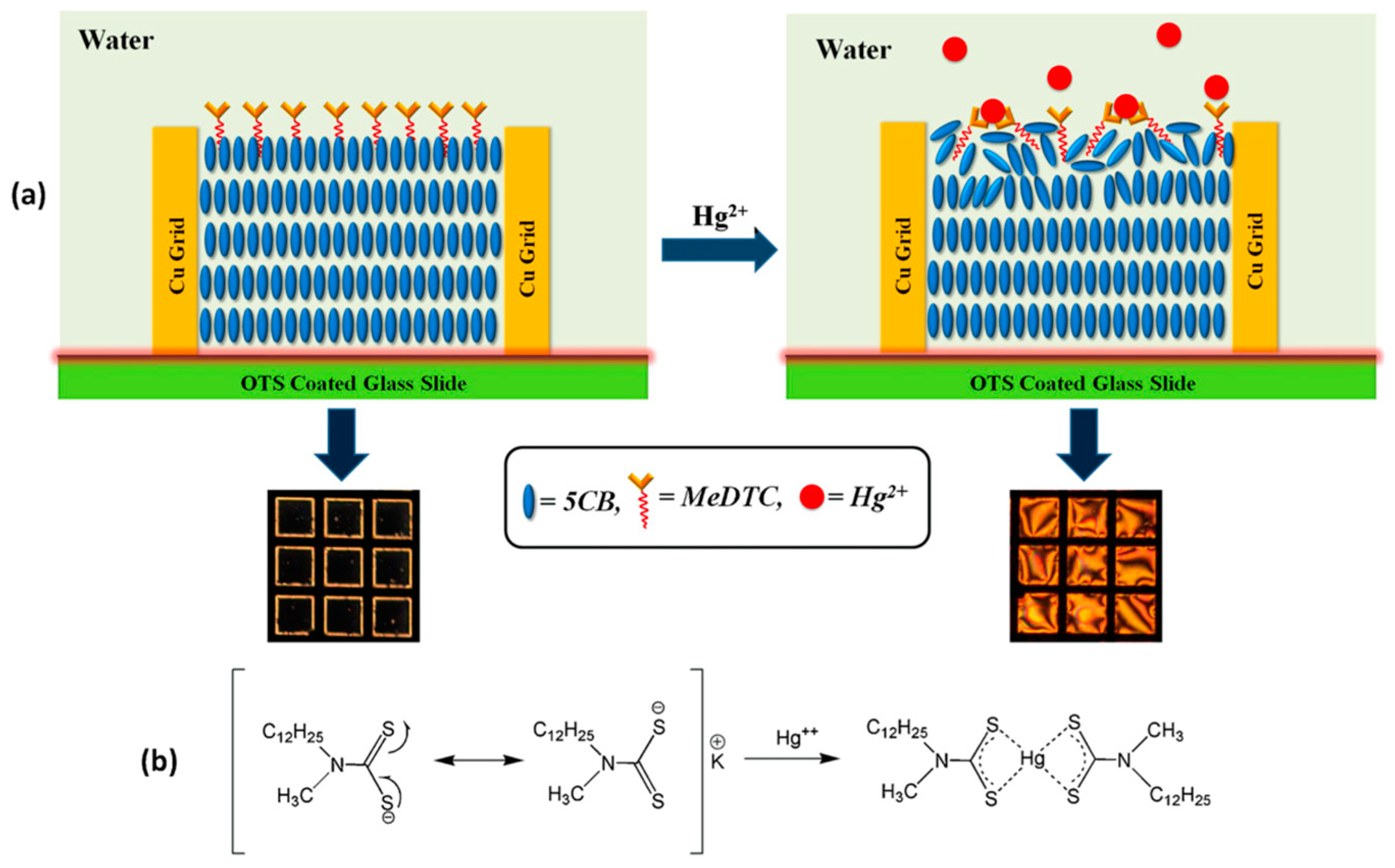 Crystals 14 00859 g015