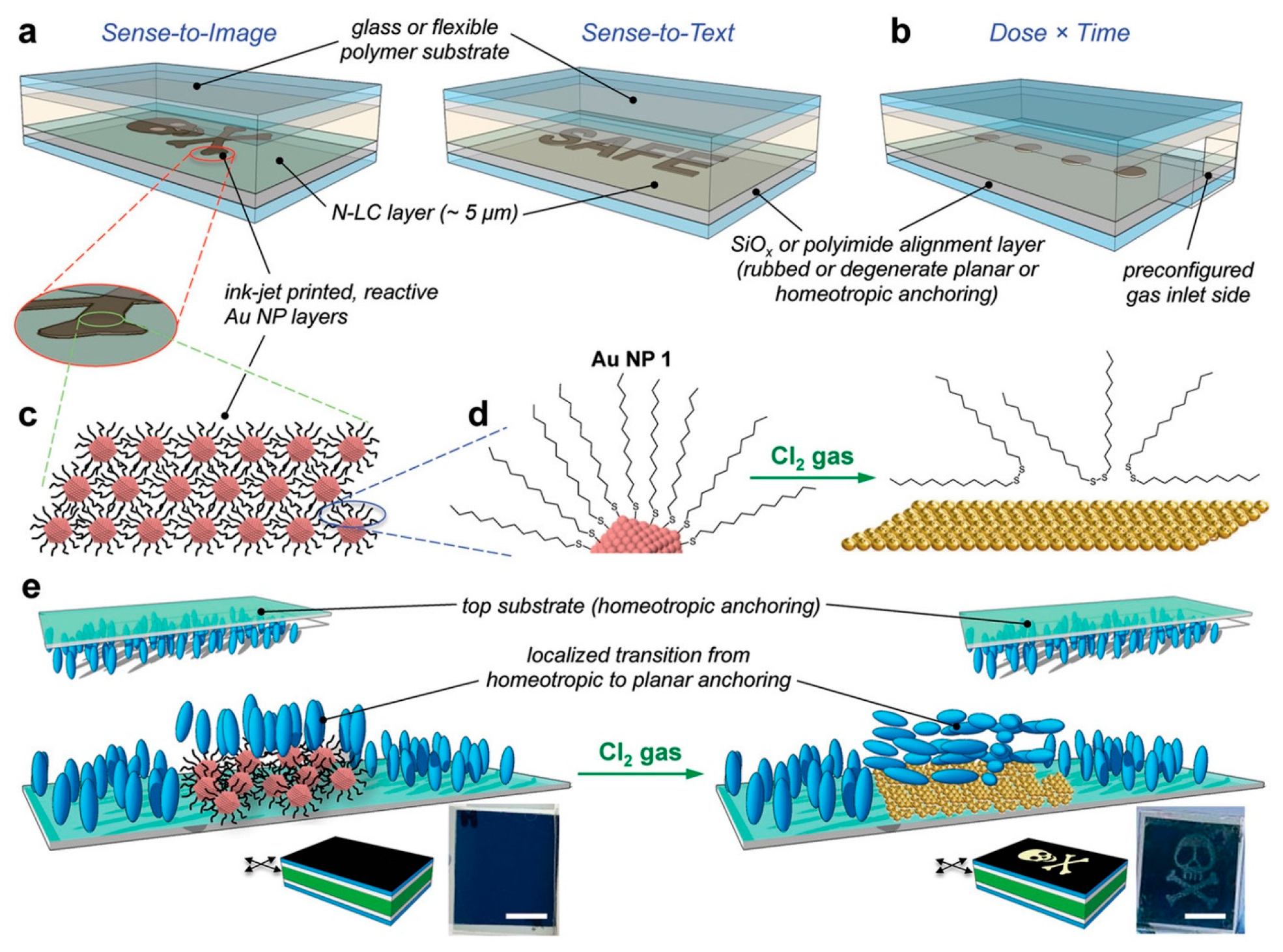 Crystals 14 00859 g016
