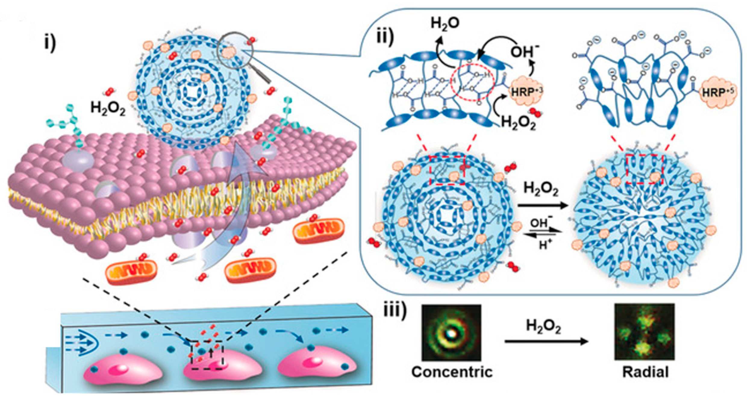 Crystals 14 00859 g017