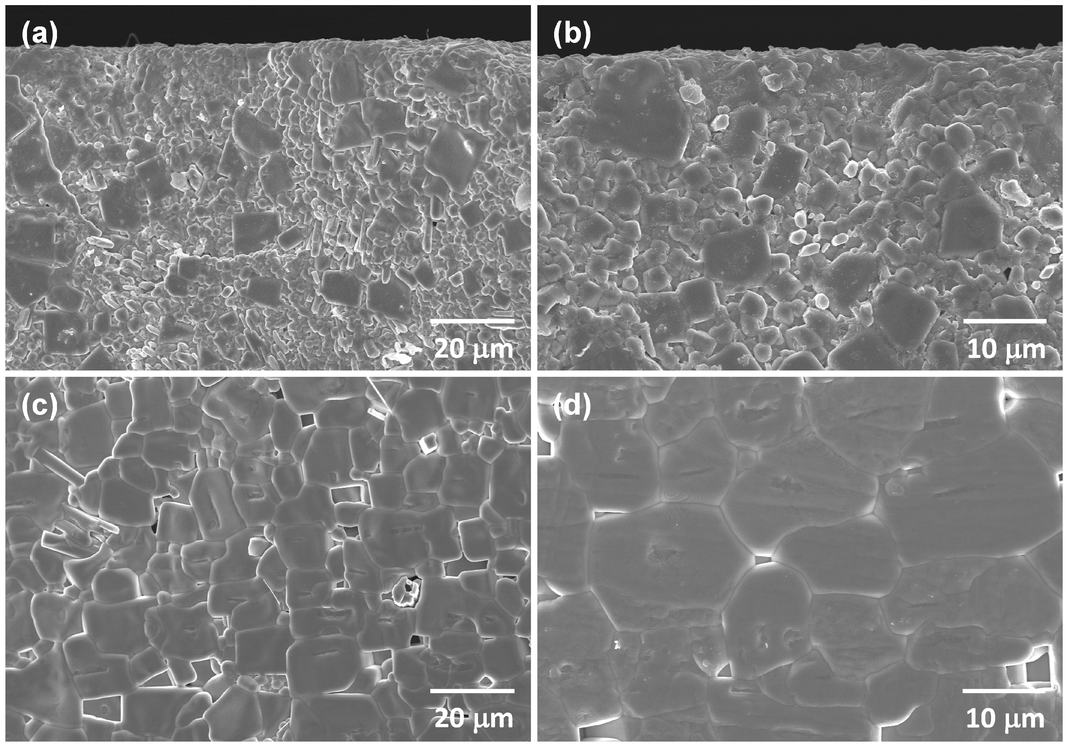 Crystals 14 00861 g005