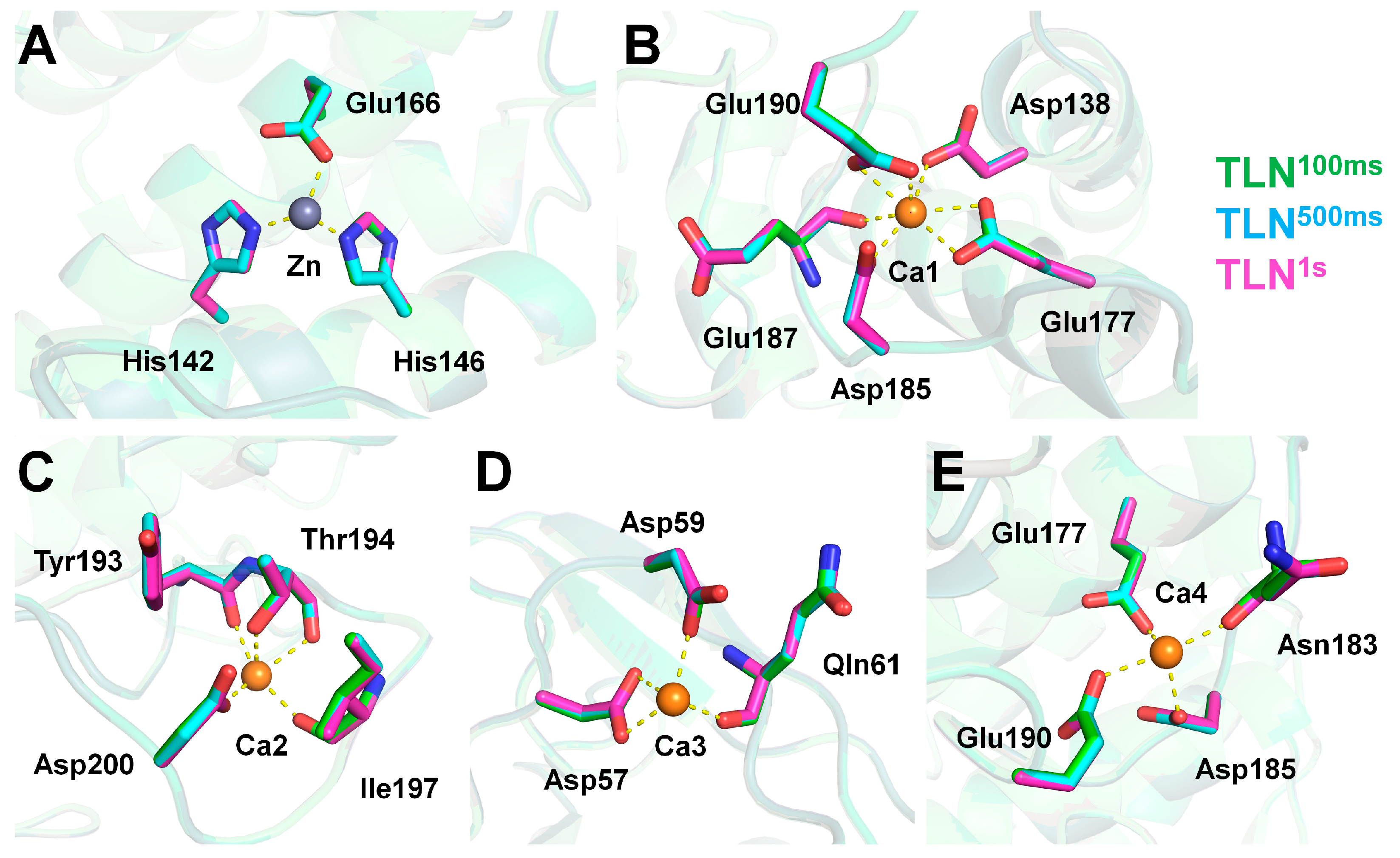 Crystals 14 00876 g004