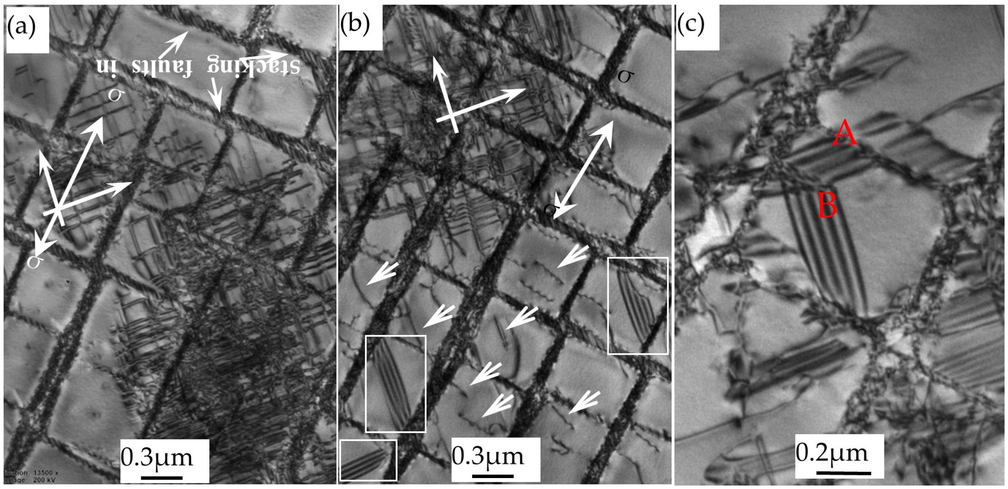 Crystals 14 00983 g004