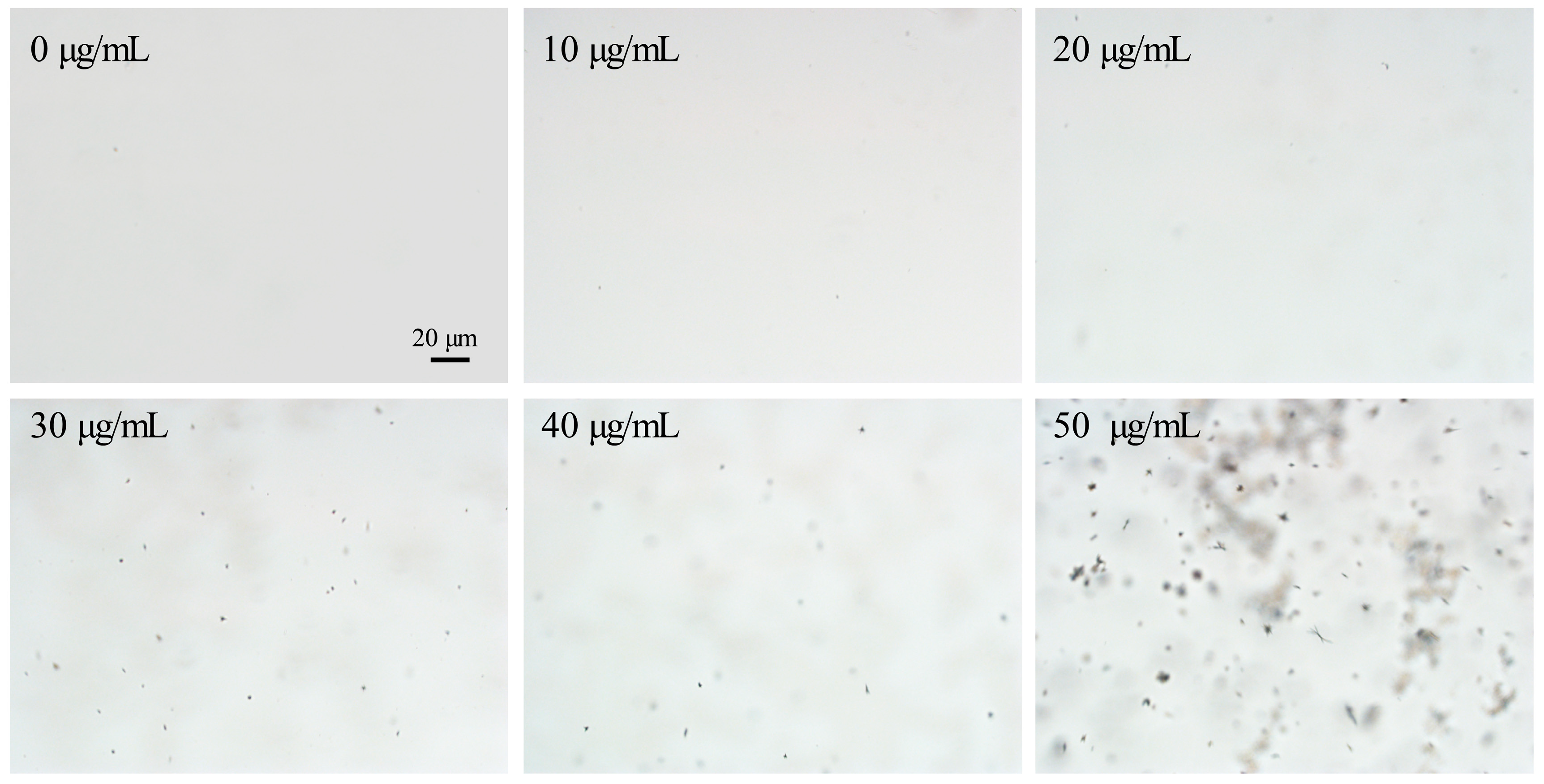 Crystals 14 01042 g003