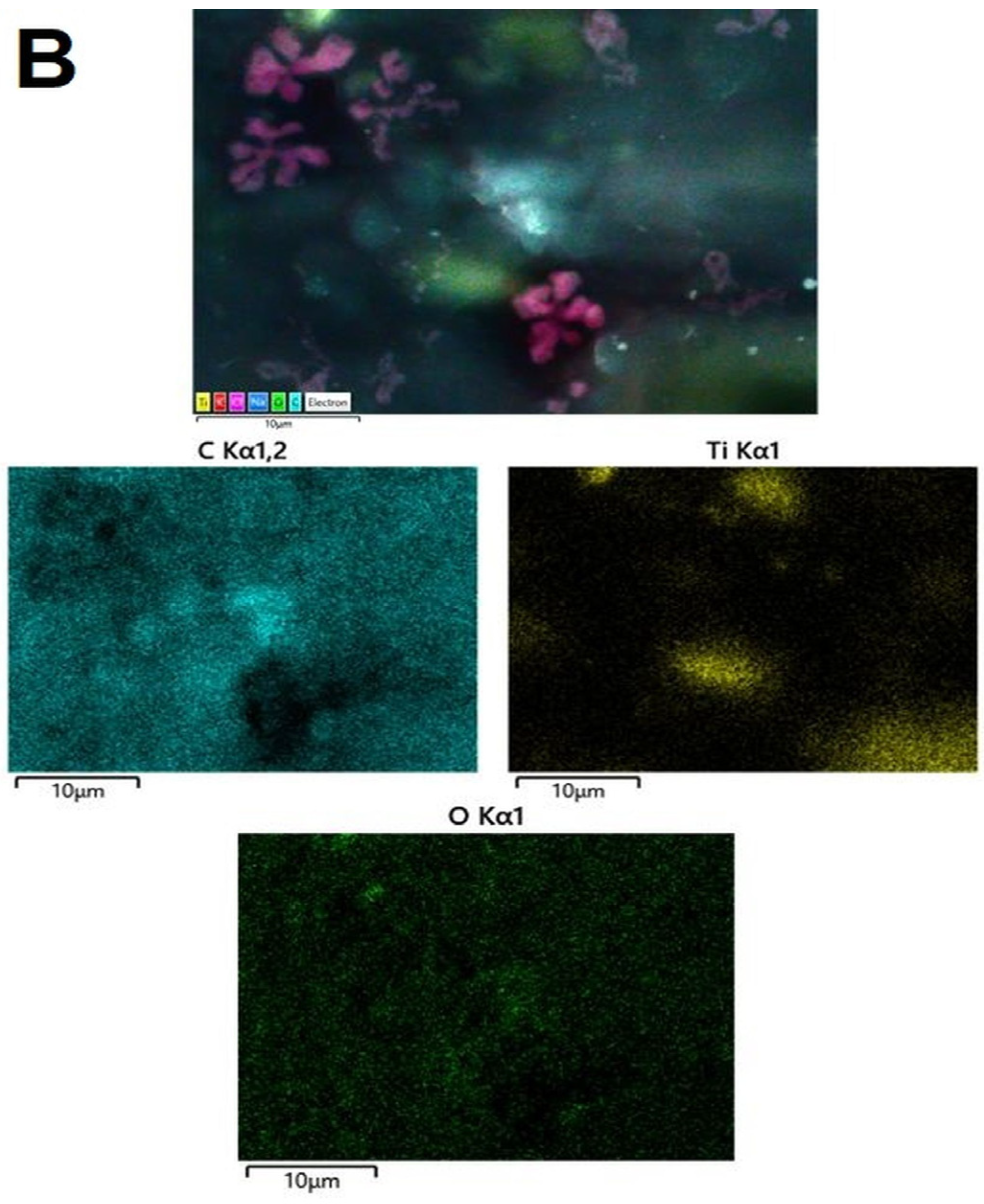 Crystals 14 01081 g011b